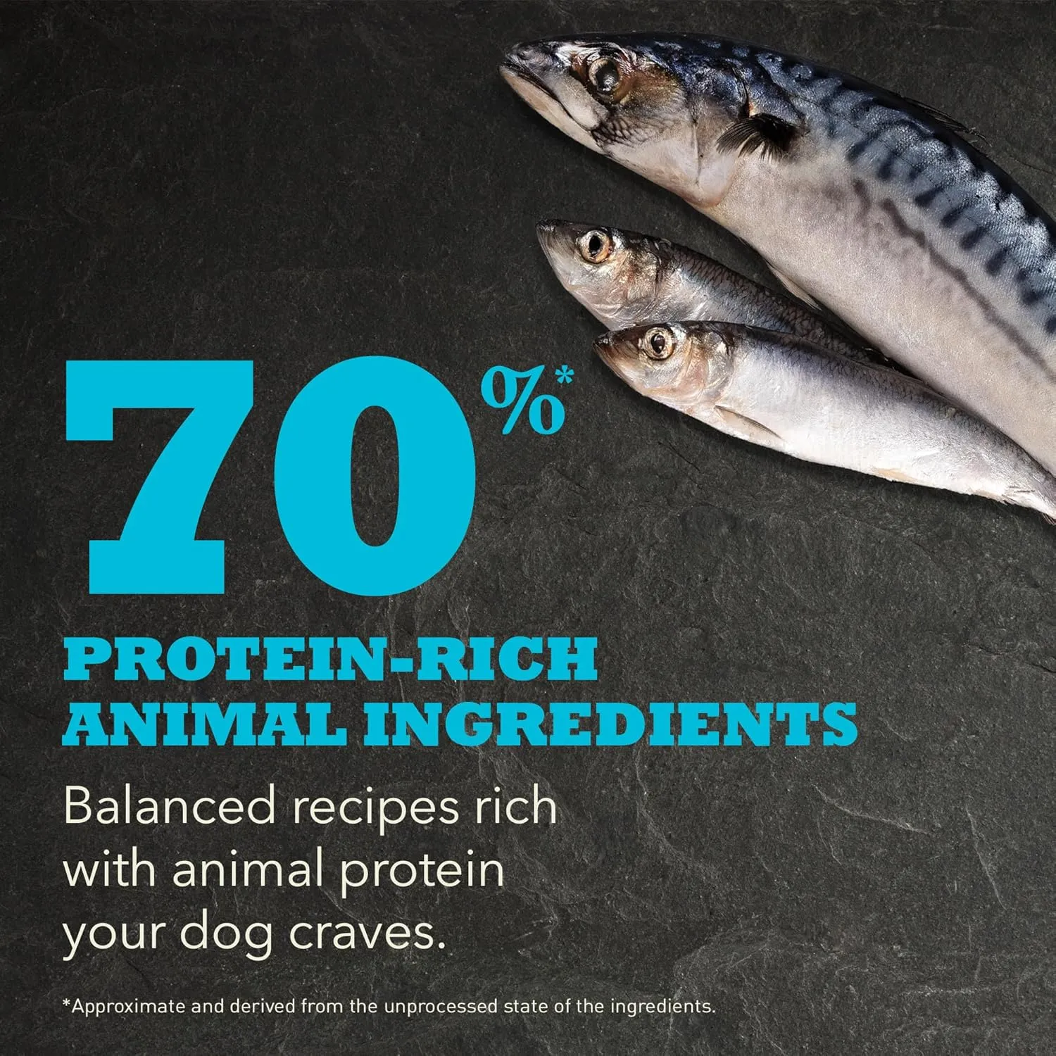 ACANA Highest Protein Dry Dog Food, Wild Atlantic, Fish Recipe, 25lb