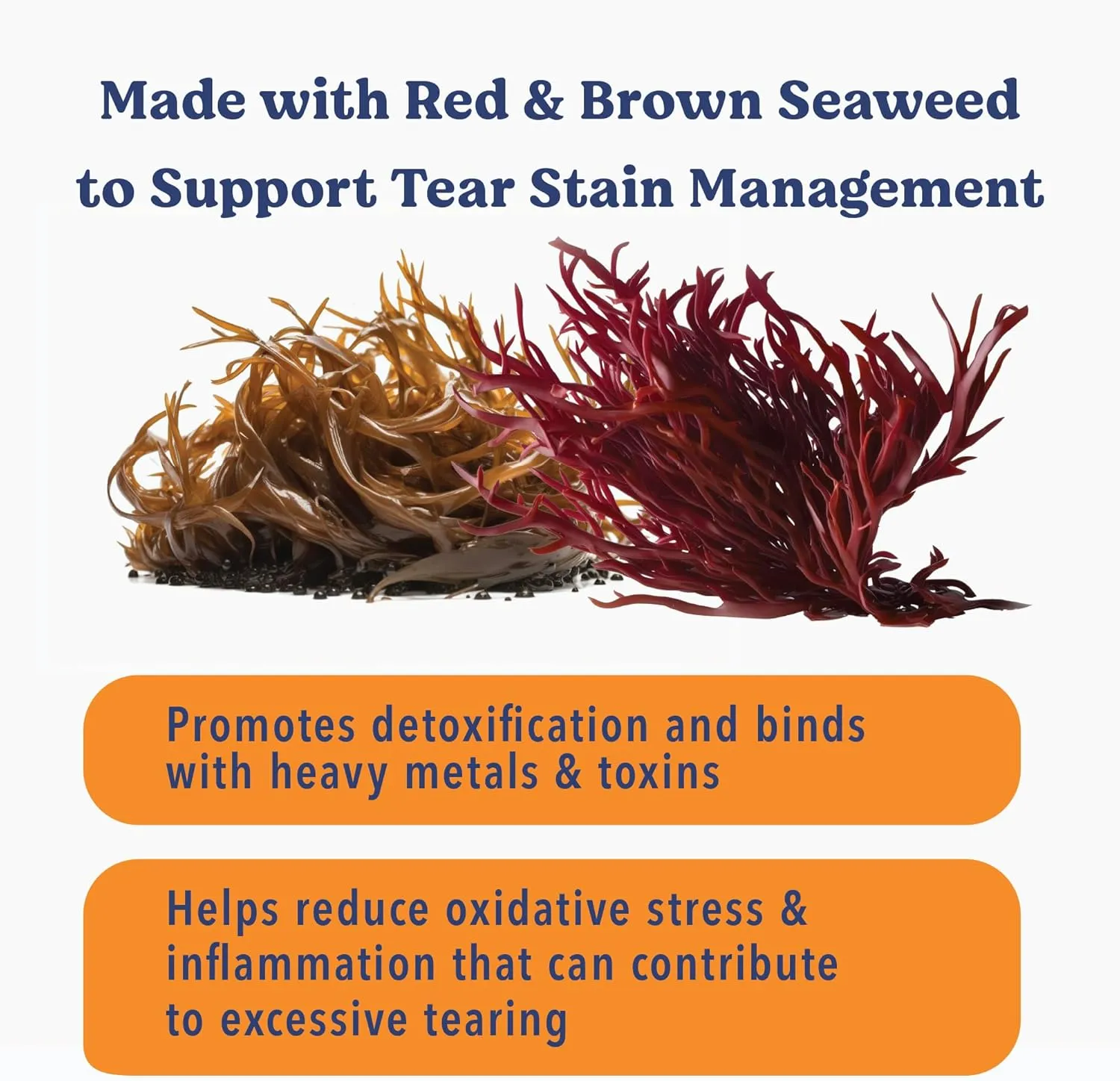 ANGELS' EYES Sea Sticks Tear Stain Friendly Daily Dog Treats with Red & Brown Seaweed Tear Stain, Gut Health, & Metabolic Support Grain-Free, Gluten-Free, Plant-Based North Sea Medium 12ct