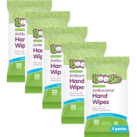 Antibacterial Hand Wipes by Boogie Wipes, Alcohol-Free, Hypoallergenic and Moisturizing Aloe, Boogie Hand Wipes for Adults and Kids, 5 Packs of 20