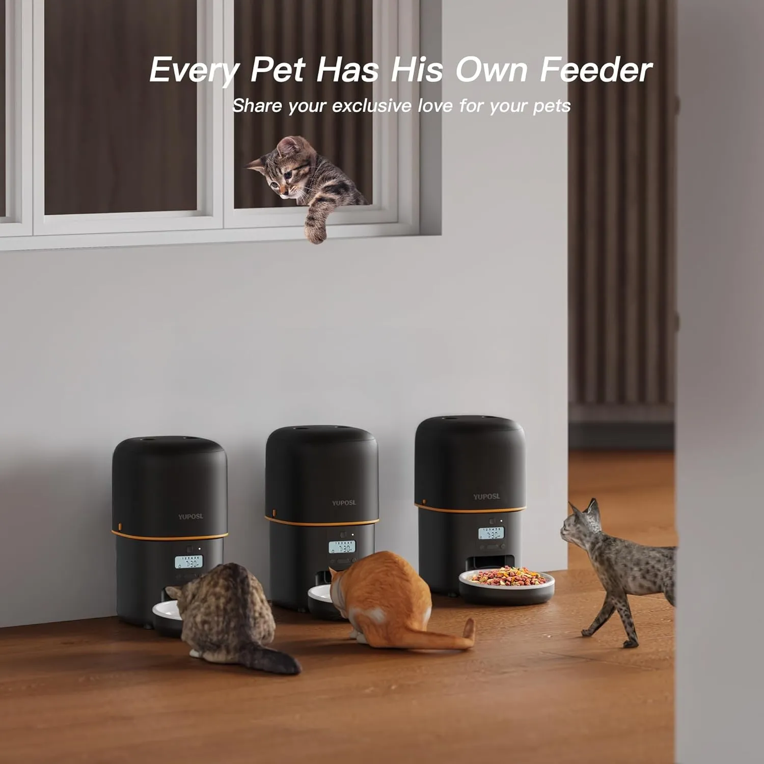 Automatic Cat Feeder - 2L Cat Food Dispenser, Timed Auto Pet Feeder with 180-day Battery Life, 1-6 Meals Per Day, 1-16 Portion, Ceramic Bowl, Desiccant Bag Keeps Dry Food Fresh, Also for Small Dogs