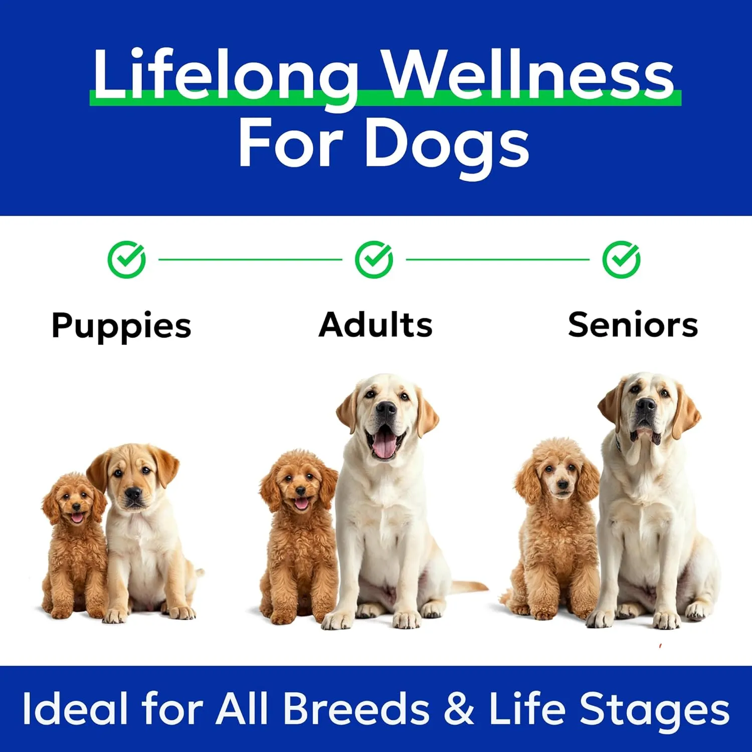 BARK&SPARK Omega 3 Fish Oil for Dogs & Cats - w/Wild Alaskan Salmon Oil for Dogs, Fish Oil Liquid Supplement for Pets, EPA DHA Fatty Acids, Skin&Coat Support 32 Oz