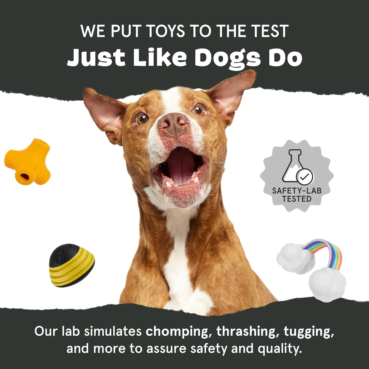 Barkbox Acornucopia Treat Dispensing Indoor/Outdoor Chewer Toy, Large
