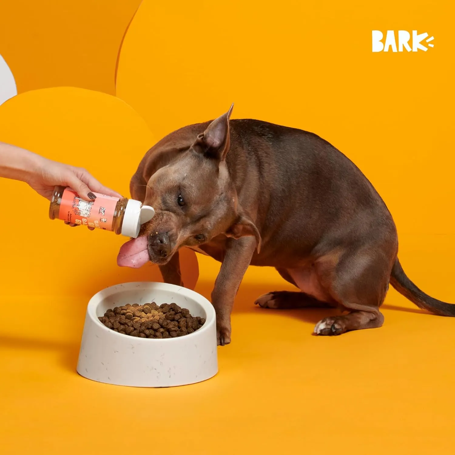Barkbox Bada Bing Beef Dry Dog Food, Toppers with High Protein and Limited Ingredients Meal Enhancer for Large & Small Breeds - 4.6 Oz