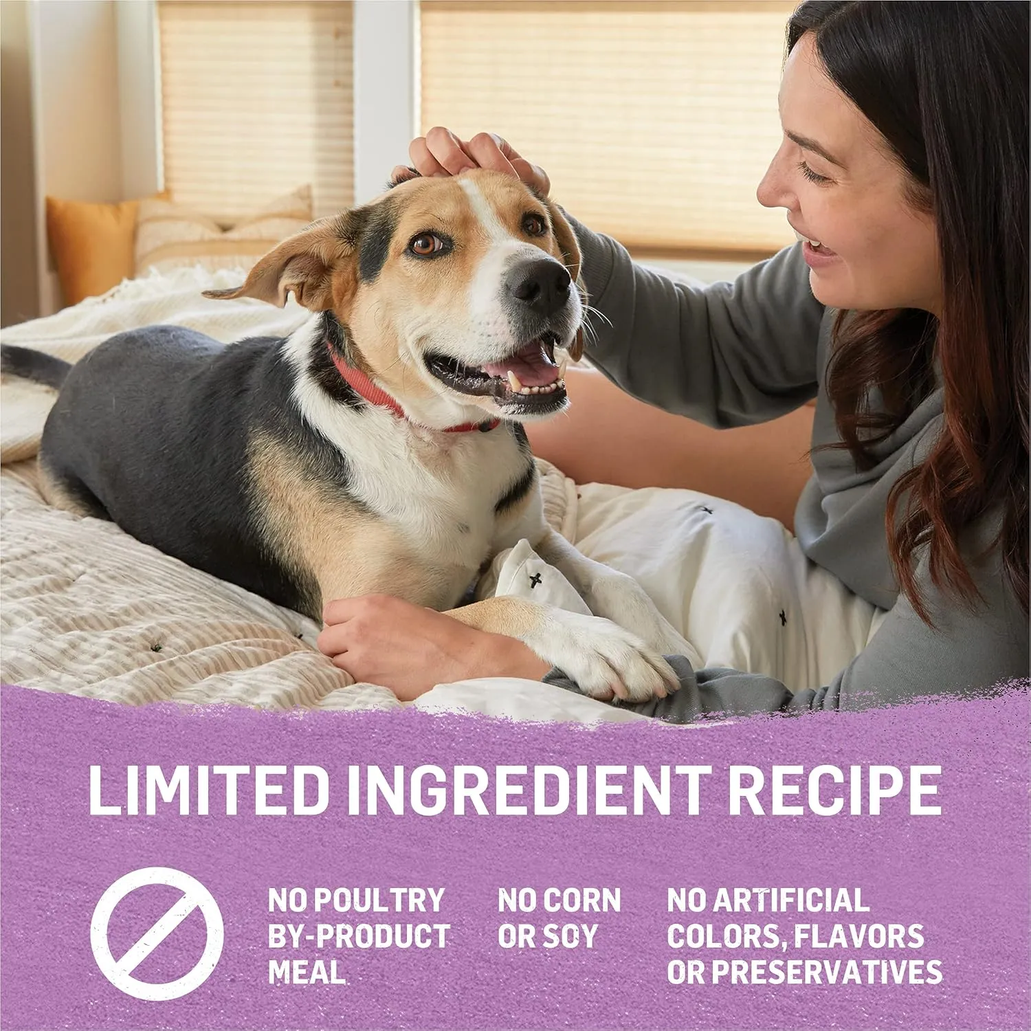 Beyond Purina Grain Free Gravy Wet Dog Food, Grain Free Turkey & Green Bean Recipe in Gravy - (12) 12.5 oz. Cans (Pack of 2)