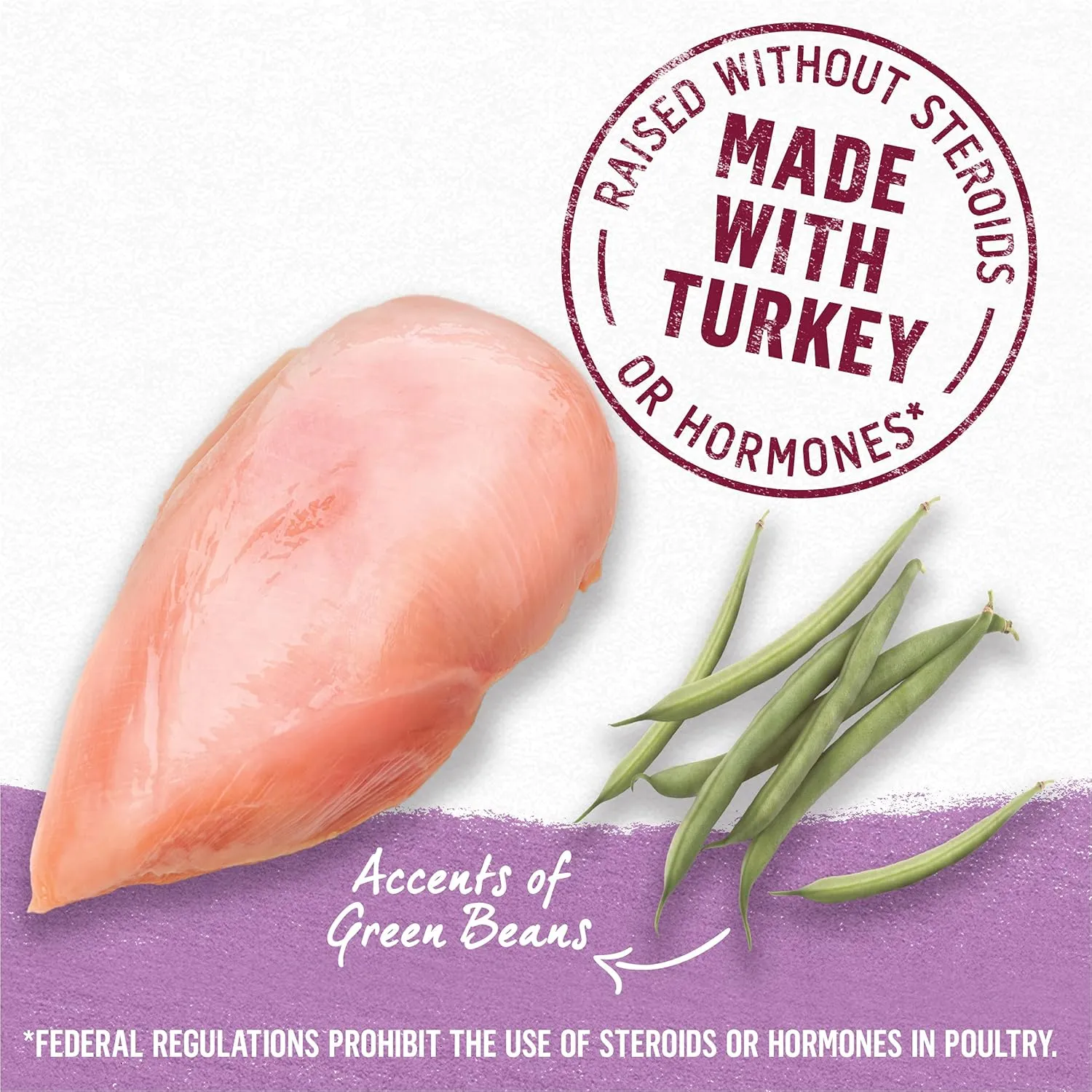 Beyond Purina Grain Free Gravy Wet Dog Food, Grain Free Turkey & Green Bean Recipe in Gravy - (12) 12.5 oz. Cans (Pack of 2)