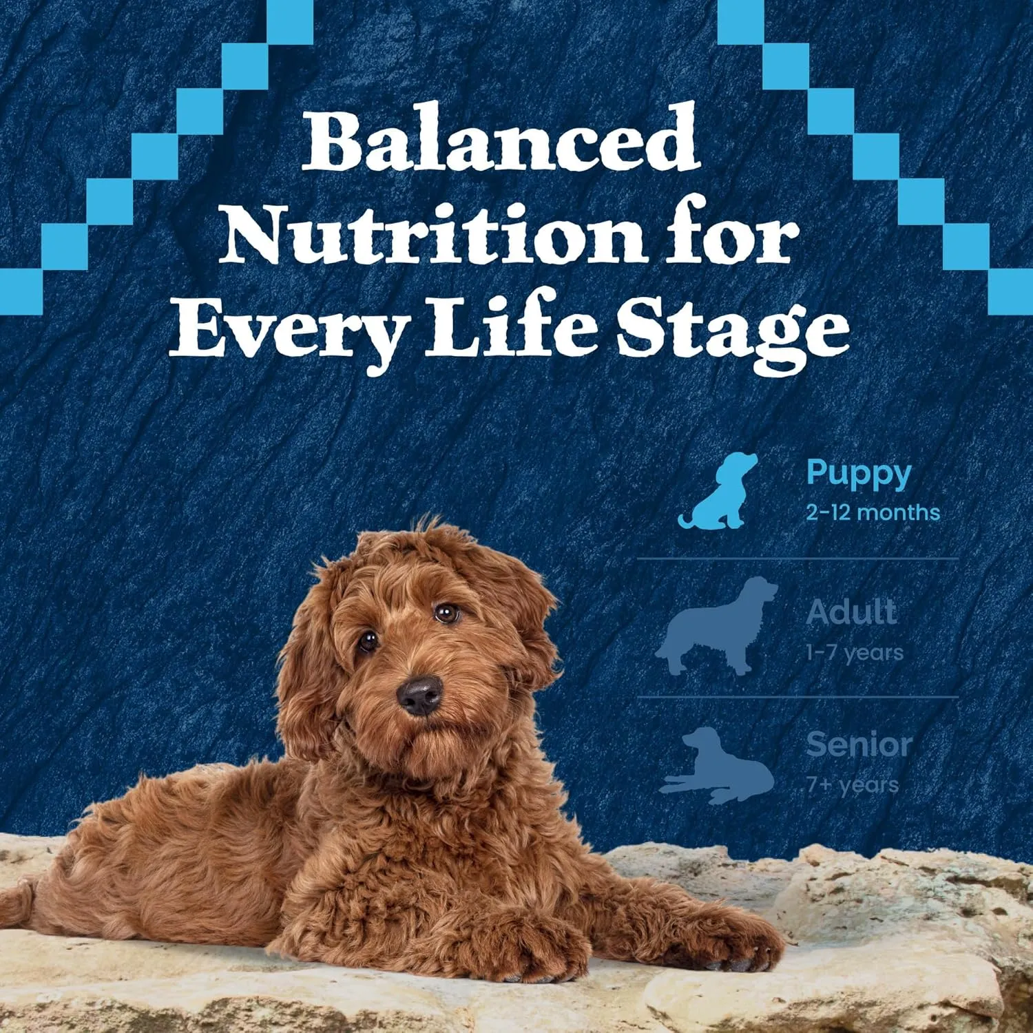 Blue Buffalo Wilderness High-Protein Natural Dry Food for Puppies, Salmon Recipe, 4.5-lb. Bag
