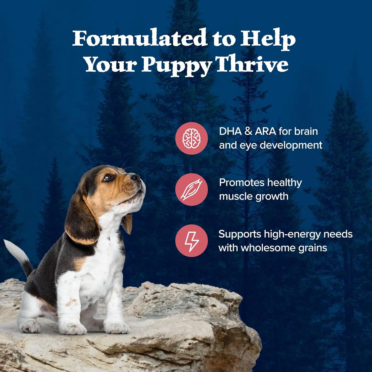 Blue Buffalo Wilderness High-Protein Natural Dry Food for Puppies, Salmon Recipe, 4.5-lb. Bag