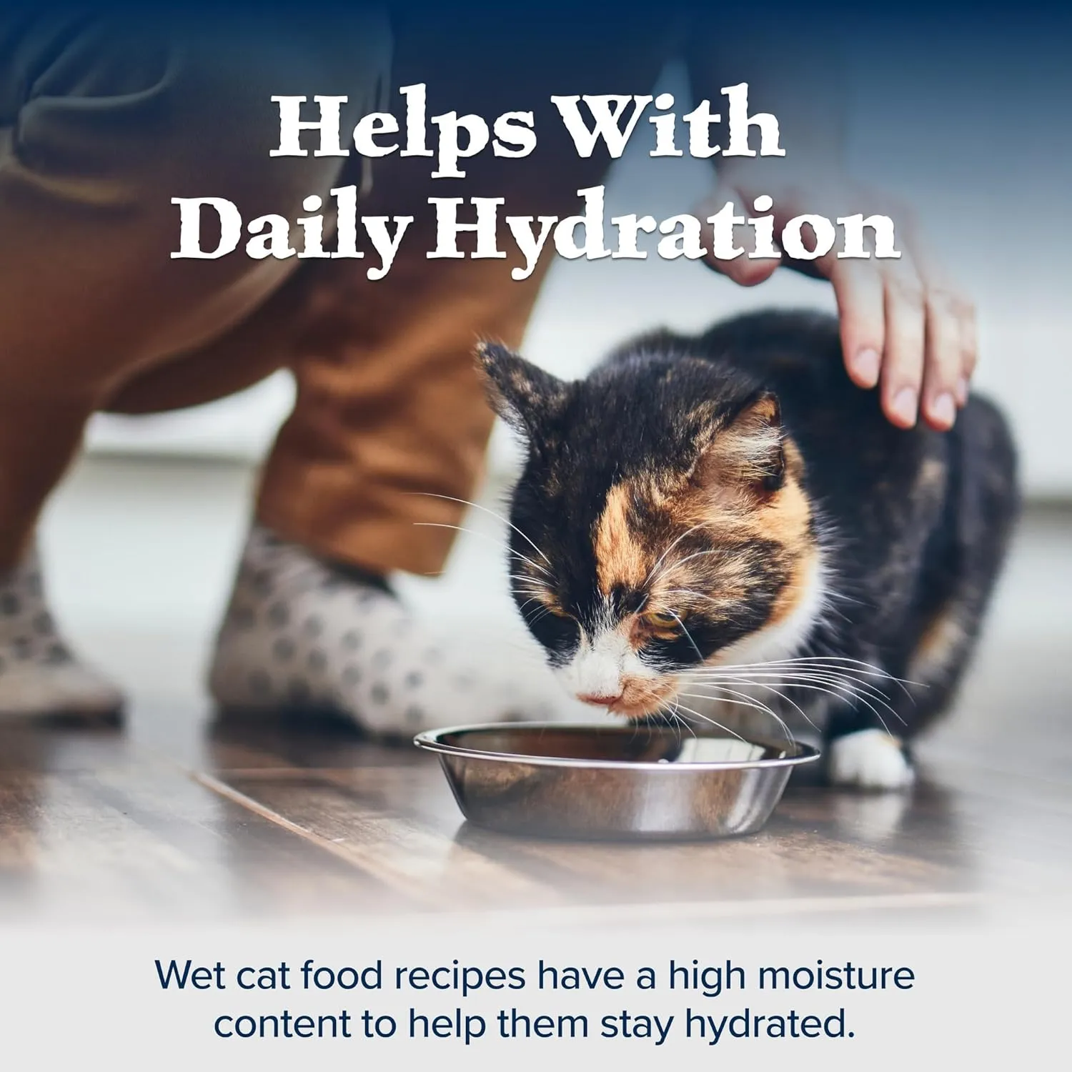 Blue Buffalo Wilderness Natural High-Protein Grain-Free Wet Food for Adult Cats, Duck Pat, 3-oz. Cans, 24 Count