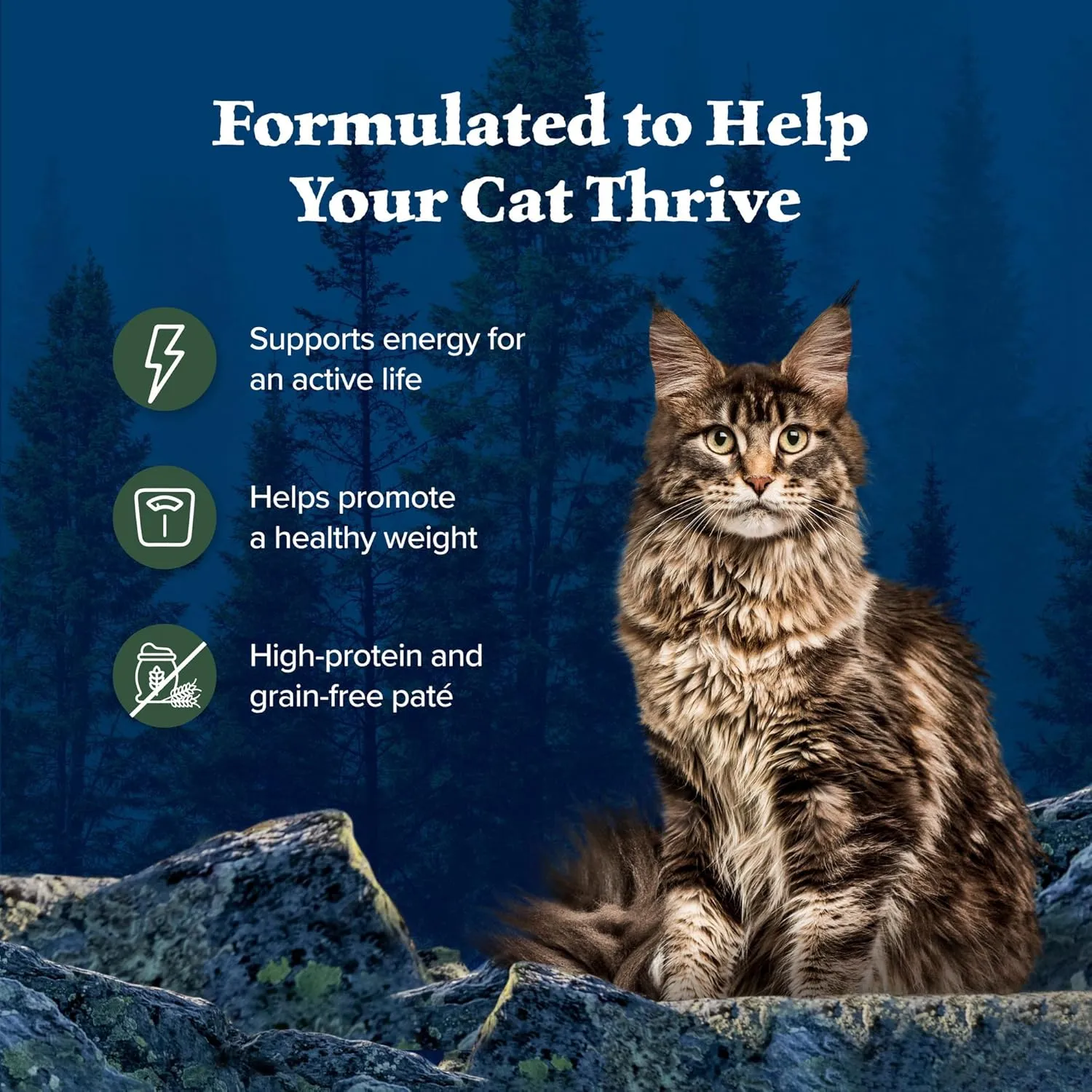 Blue Buffalo Wilderness Natural High-Protein Grain-Free Wet Food for Adult Cats, Duck Pat, 3-oz. Cans, 24 Count