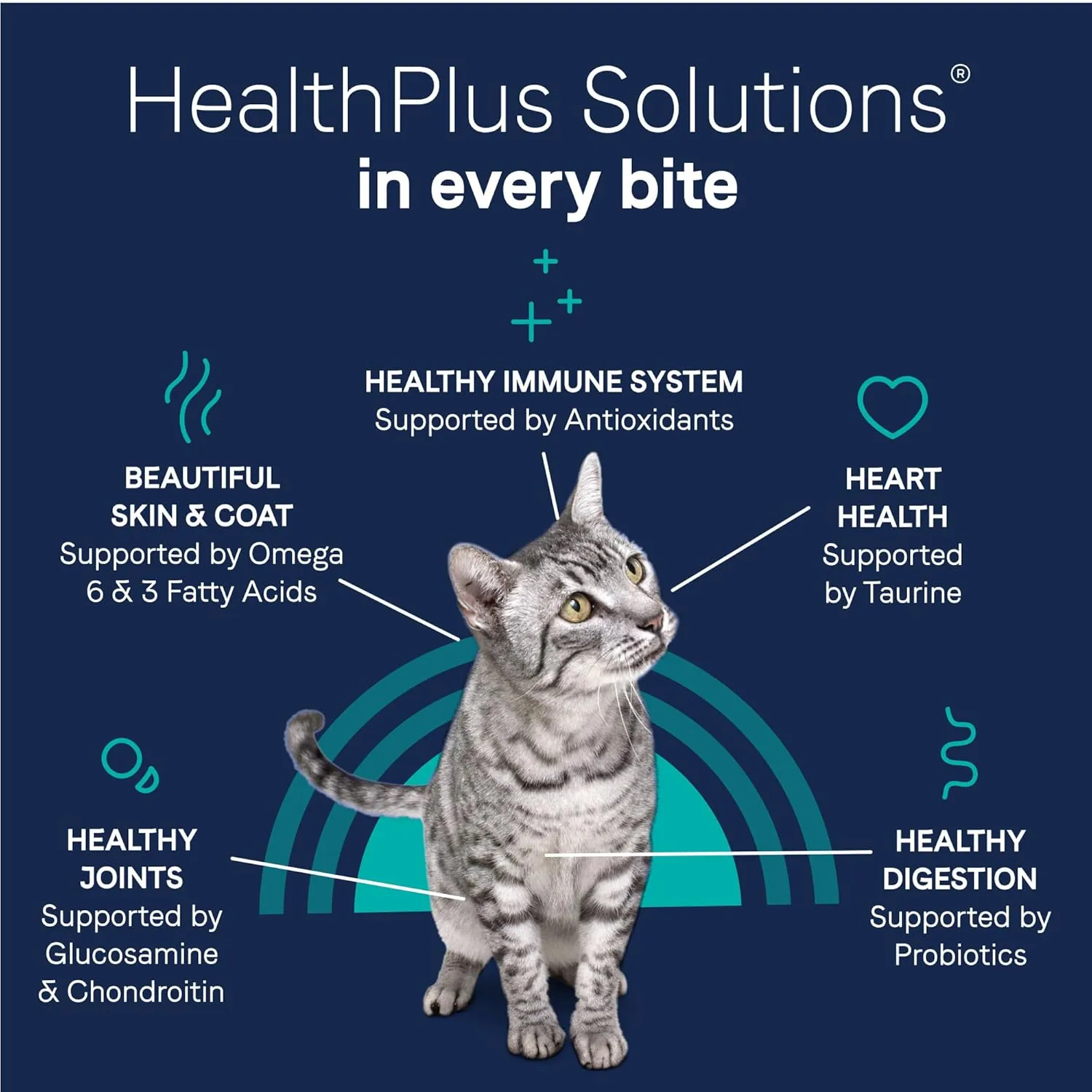 Canidae Pure Limited Ingredient Premium Dry Cat Food, Real Chicken Recipe, 5 lbs, Grain Free