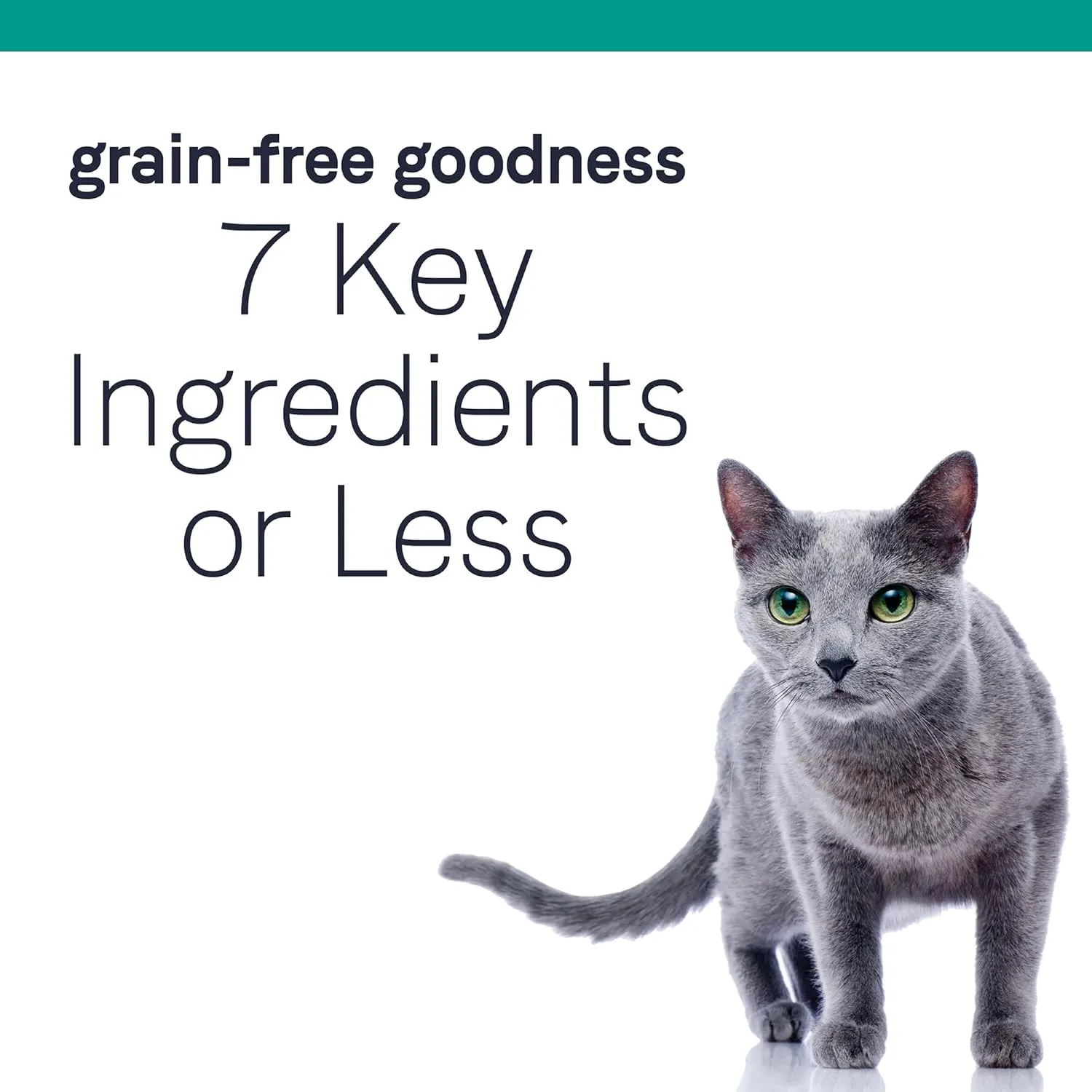 Canidae Pure Limited Ingredient Premium Dry Cat Food, Real Chicken Recipe, 5 lbs, Grain Free