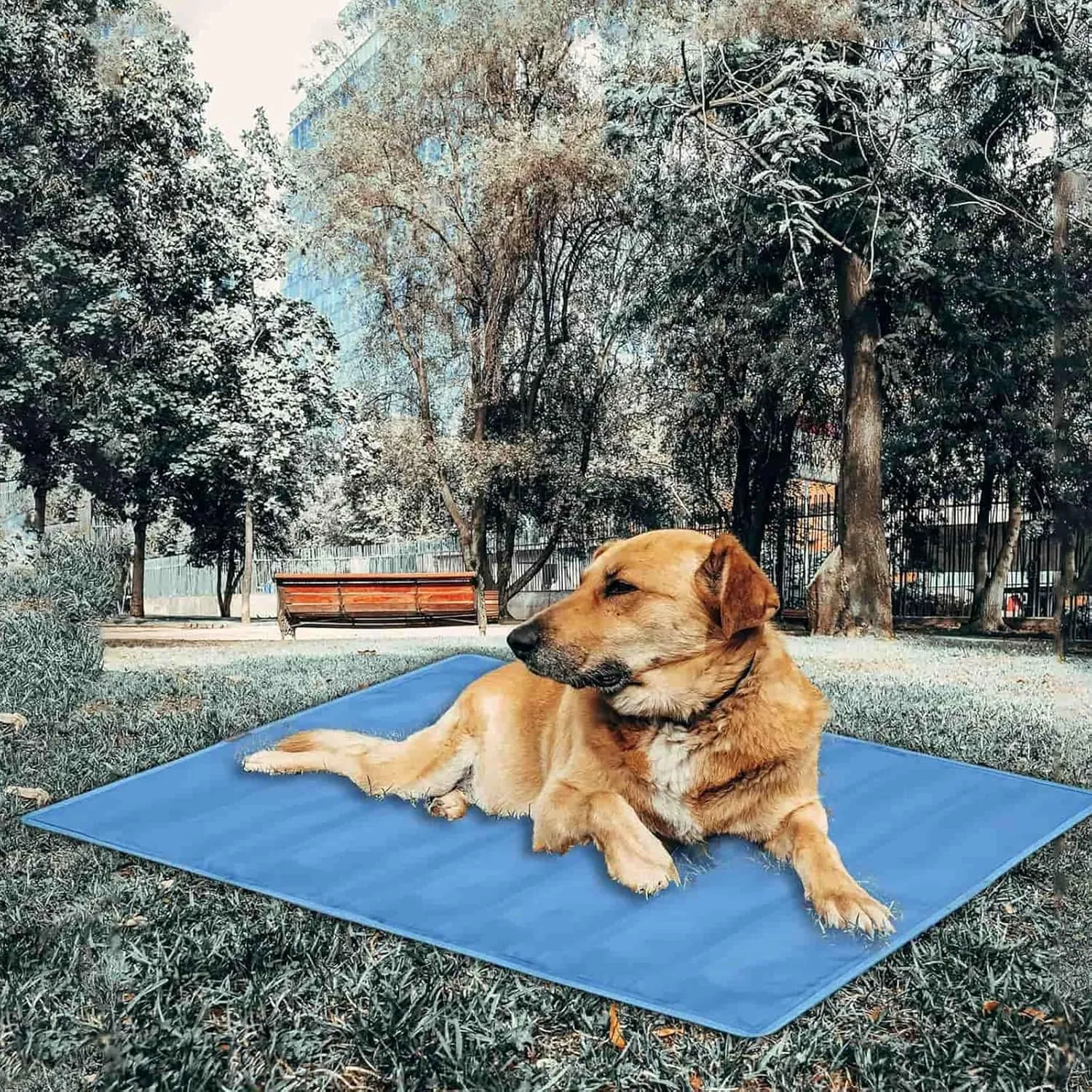 Cooling Mat for Dogs,Pet Bed Dog Mat Self-Cooling Pad Cool Bed,Non-Toxic Gel Ice Pads,Summer Pet Bed Cooling Blanket Dog Crate Sleep Mat for Kennel/Sofa/Bed/Floor/Car Seats