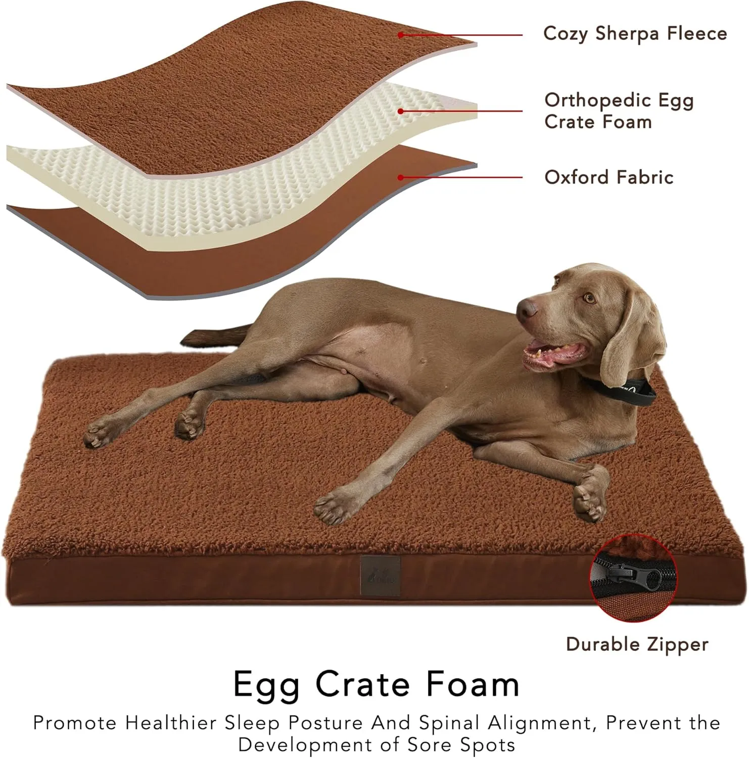 DaysU Dog Bed for Extra Large Dogs, Orthopedic Dog Beds with Removable Washable Cover, XL Egg Crate Foam Pet Bed Mat, Flax Brown, Suitable for Dogs Up to 100 Ibs, 44x32x3in