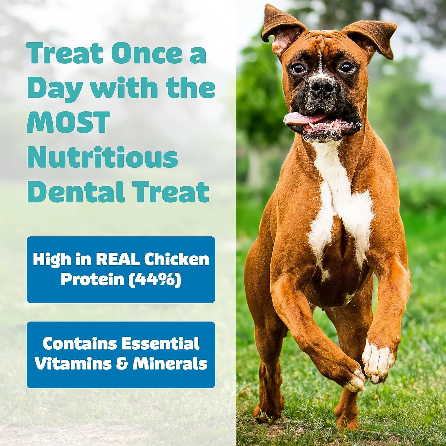 Dog Dental Treats  Vet VOHC Approved  Delicious Chicken Protein  Removes Tartar with Cleaning Comb Shape  Dental Dog Treats for Extra Small Dogs (12oz, 48 Count)