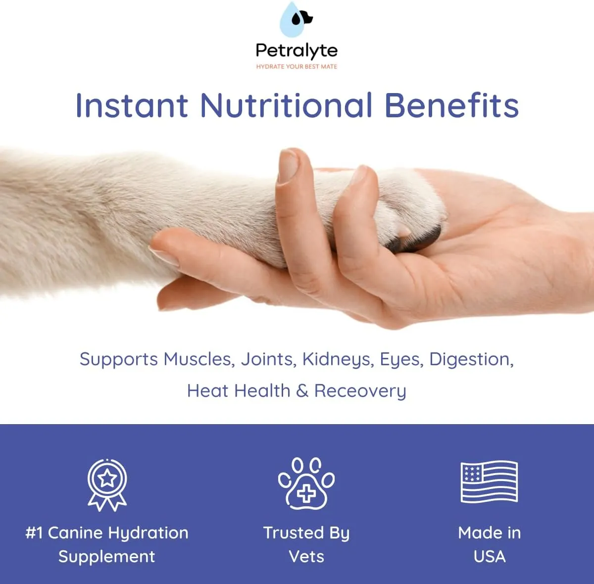 Dog Electrolytes and Joint Supplement | Glucosamine, Chondroitin & MSM for Inflammation and Mobility Support | Electrolytes for Dogs with Prebiotics | Variety Flavor Pack | 32 Packets