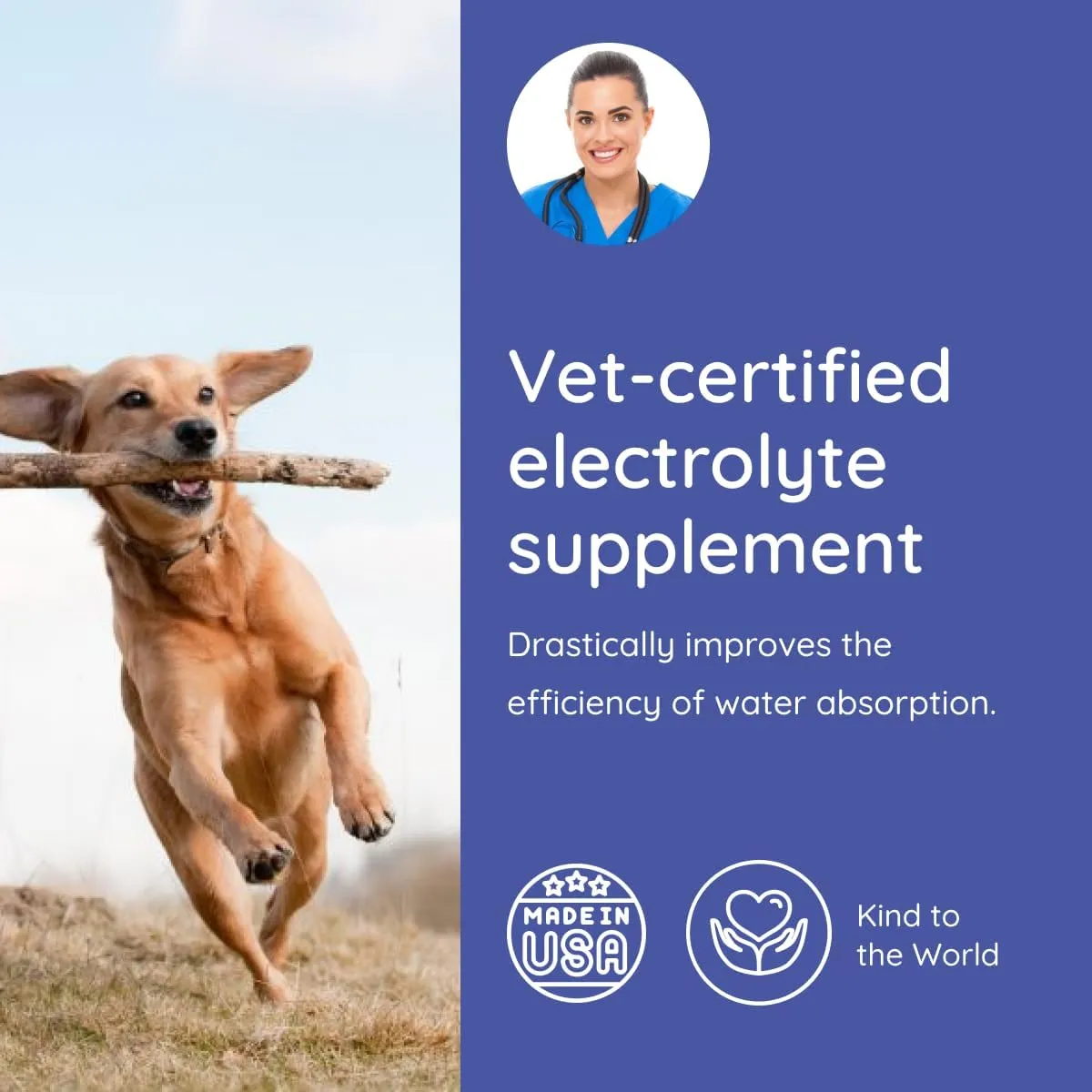 Dog Electrolytes and Joint Supplement | Glucosamine, Chondroitin & MSM for Inflammation and Mobility Support | Electrolytes for Dogs with Prebiotics | Variety Flavor Pack | 32 Packets
