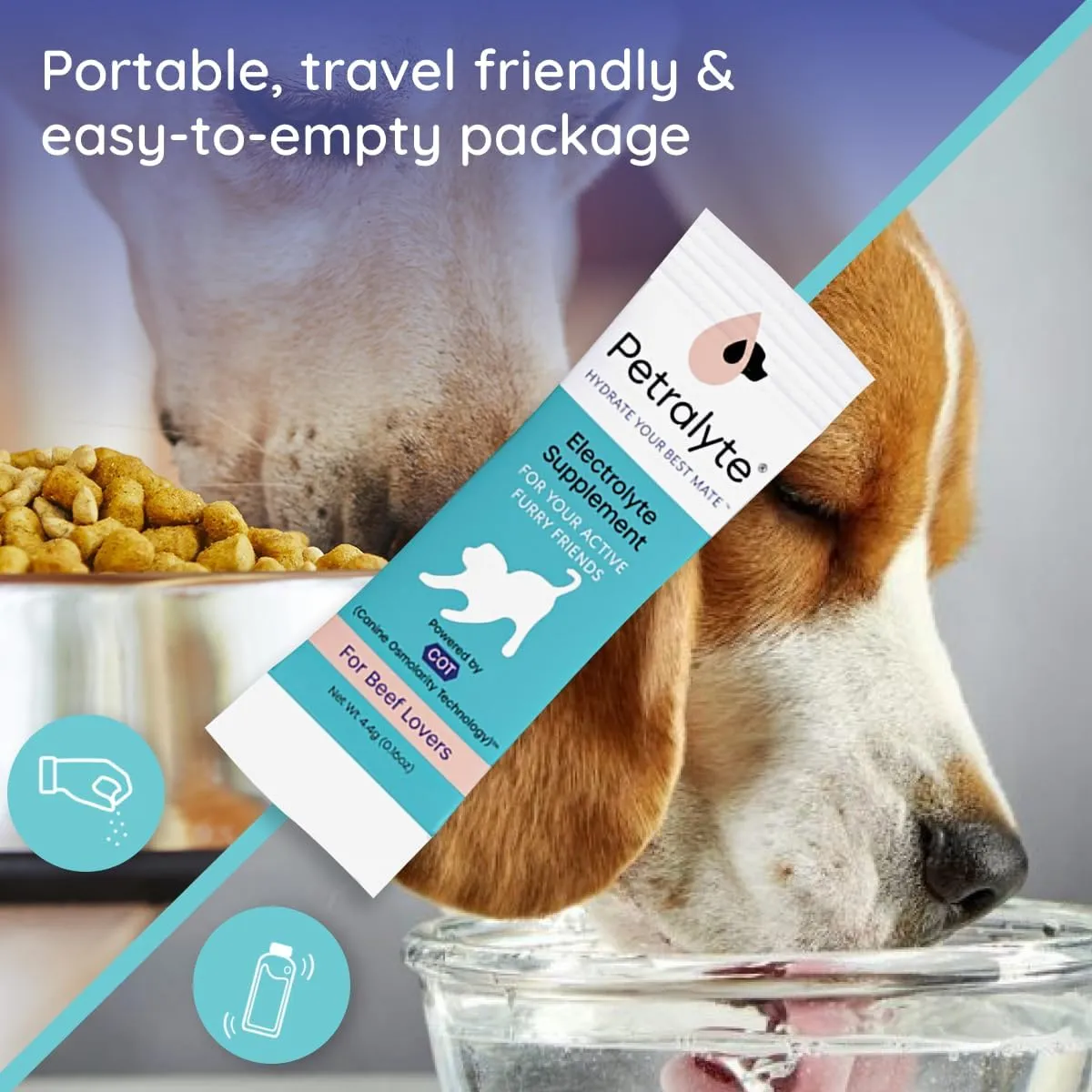 Dog Electrolytes and Joint Supplement | Glucosamine, Chondroitin & MSM for Inflammation and Mobility Support | Electrolytes for Dogs with Prebiotics | Variety Flavor Pack | 32 Packets