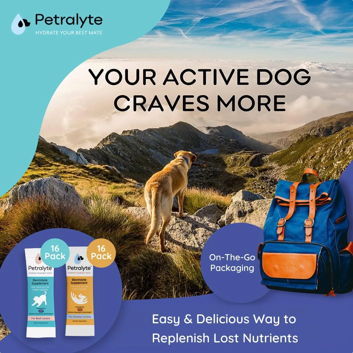 Dog Electrolytes and Joint Supplement | Glucosamine, Chondroitin & MSM for Inflammation and Mobility Support | Electrolytes for Dogs with Prebiotics | Variety Flavor Pack | 32 Packets