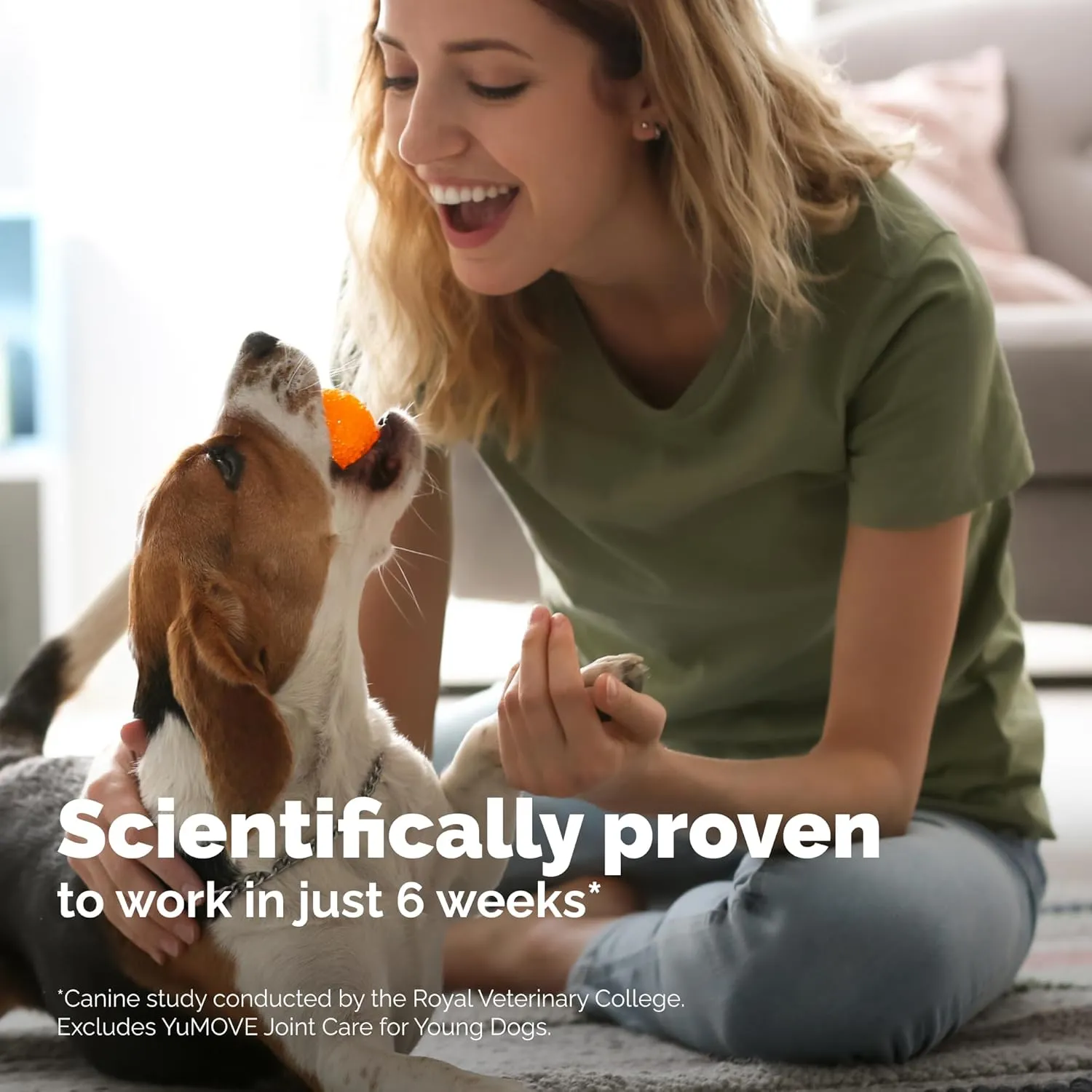Dog Joint Supplement, Hip and Joint Supplement for Dogs with Glucosamine, Hyaluronic Acid, and Green Lipped Mussel and Omegas, Relief for Dog Hip and Joint Aches and Stiffness, by YuMOVE - 300 Bites