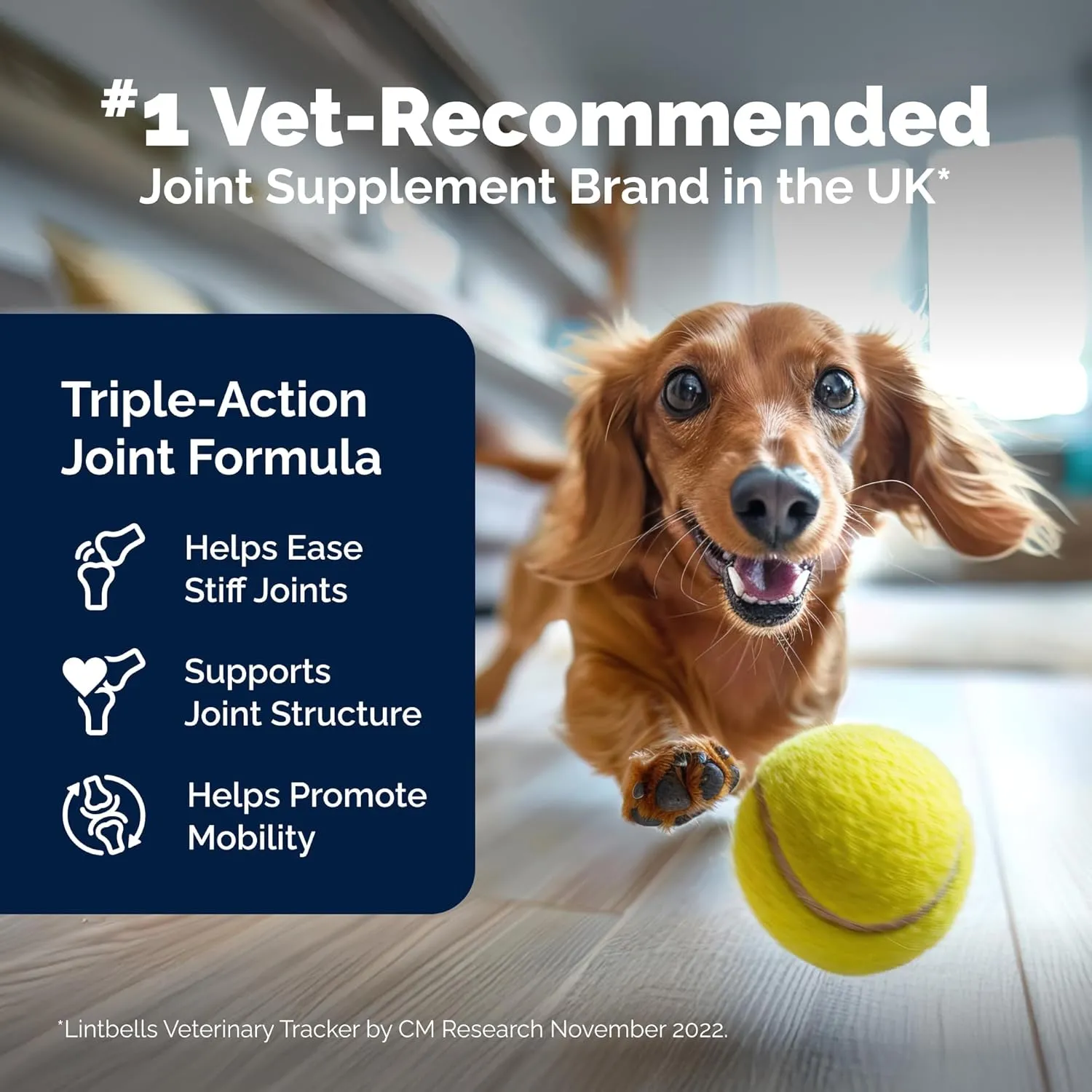 Dog Joint Supplement, Hip and Joint Supplement for Dogs with Glucosamine, Hyaluronic Acid, and Green Lipped Mussel and Omegas, Relief for Dog Hip and Joint Aches and Stiffness, by YuMOVE - 300 Bites