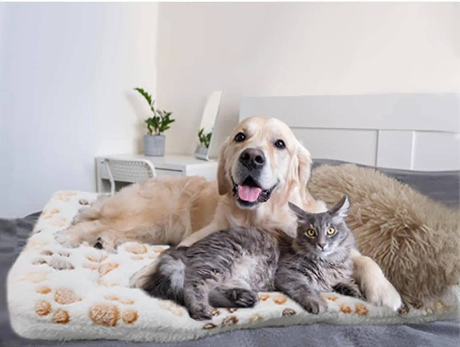 Dog Mat for Crate With Calming Pillow, Portable Pet Liner Travel Bed, Medium Size Fluffy Kennel Pads, Washable 24x15inches