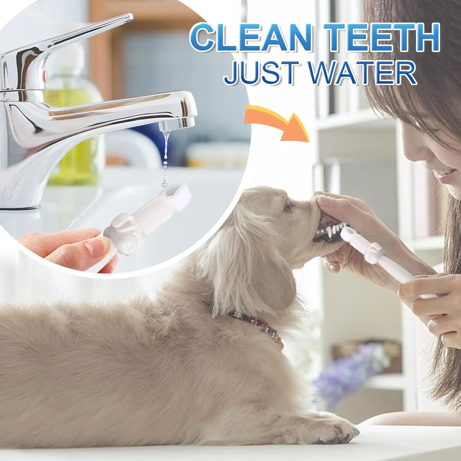 Dog Toothbrush,Plaque and Tartar Remover,Dog Tooth Brushing Kit,Just with Water No Toothpaste Required, Puppy Toothbrush,Cat Toothbrush for Oral Care(12pcs)
