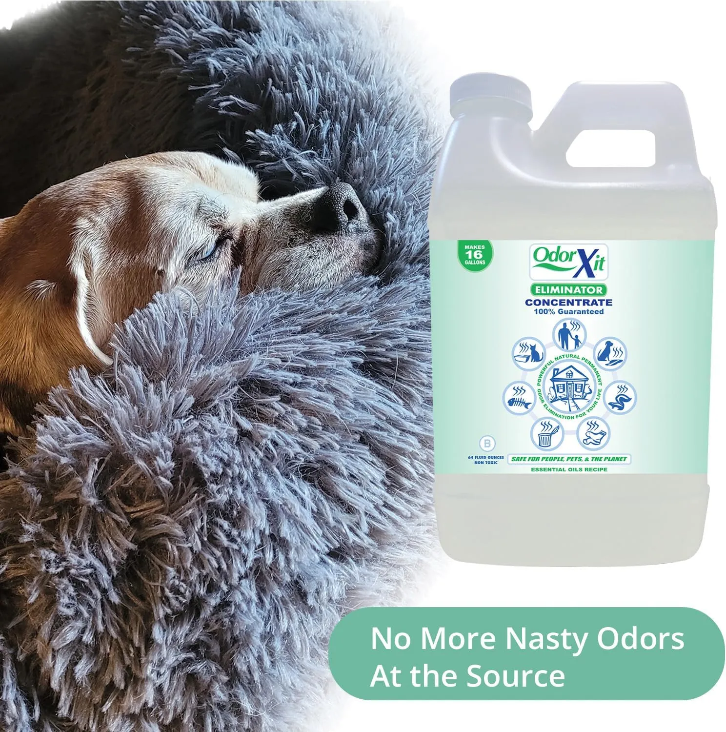 Eliminator, Versatile Natural Odor Remover, Deodorizer & Absorber, Permanently Eliminate Surface Odor, Pet Odor Eliminator, Concentrate Odor Remover, 64oz