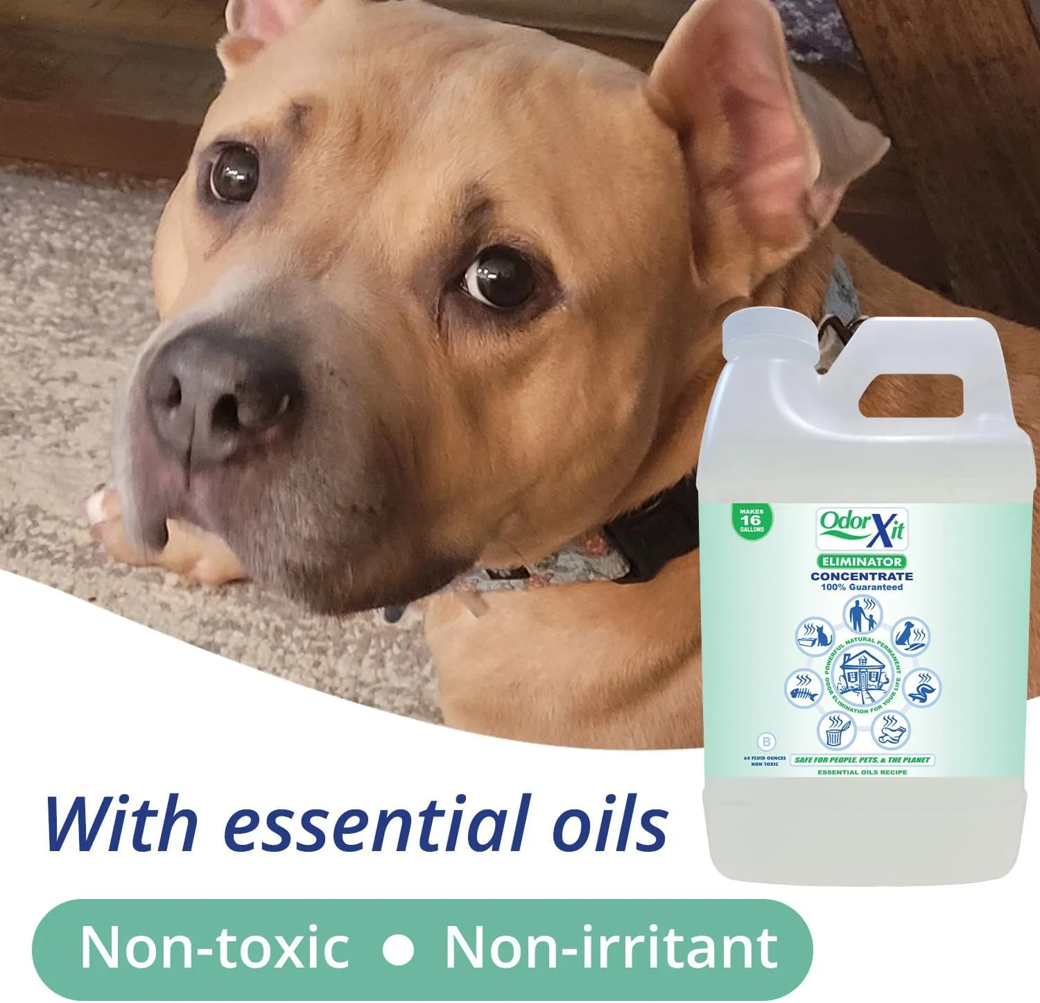Eliminator, Versatile Natural Odor Remover, Deodorizer & Absorber, Permanently Eliminate Surface Odor, Pet Odor Eliminator, Concentrate Odor Remover, 64oz