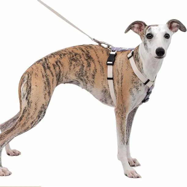 Escape-Proof Dog Harness and Leash Set - Eco-Friendly RPET Webbing, Matte Alloy Buckles & POM Quick-Release, Lightweight No-Pull Vest for Large Dogs