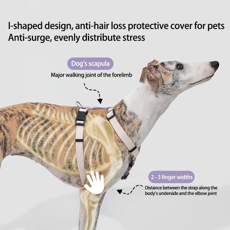 Escape-Proof Dog Harness and Leash Set - Eco-Friendly RPET Webbing, Matte Alloy Buckles & POM Quick-Release, Lightweight No-Pull Vest for Large Dogs
