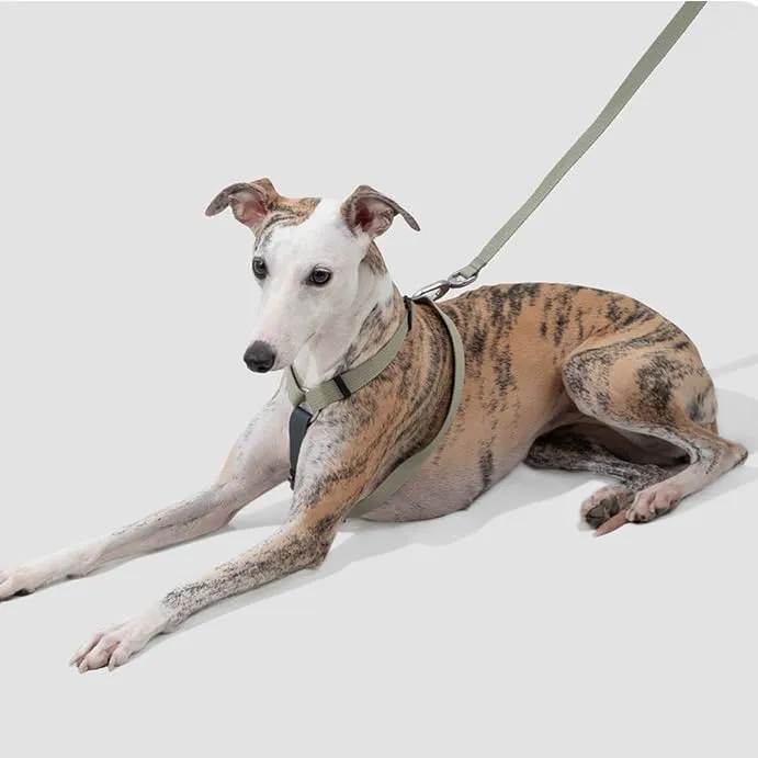 Escape-Proof Dog Harness and Leash Set - Eco-Friendly RPET Webbing, Matte Alloy Buckles & POM Quick-Release, Lightweight No-Pull Vest for Large Dogs