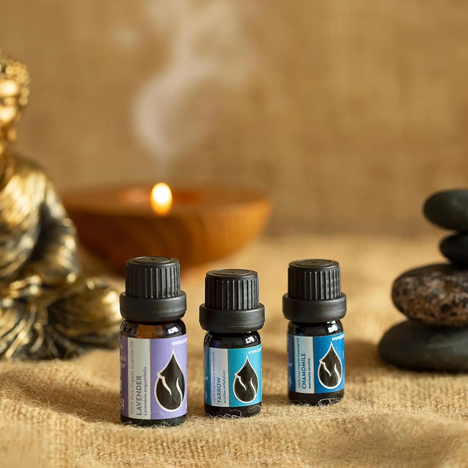 Essences Bulgaria Organic Chamomile Essential Oil - Blue 1/6 Fl Oz | 5ml | Matricaria recutita | 100% Pure and Natural | Undiluted | Therapeutic Grade | Family Owned Farm | Steam-Distilled | Non-GMO