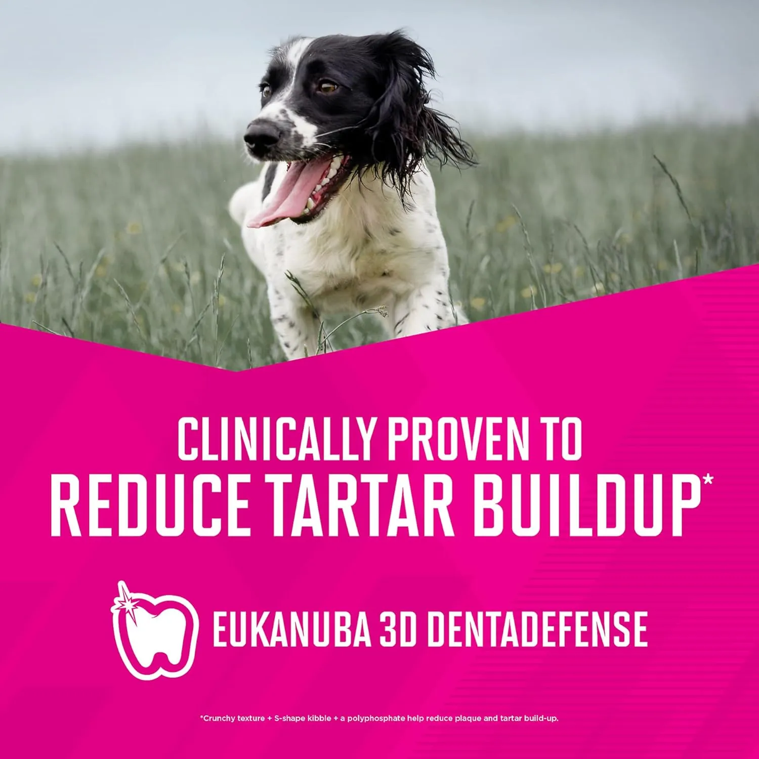 Eukanuba Adult Lamb 1st Ingredient Dry Dog Food, 15 lb