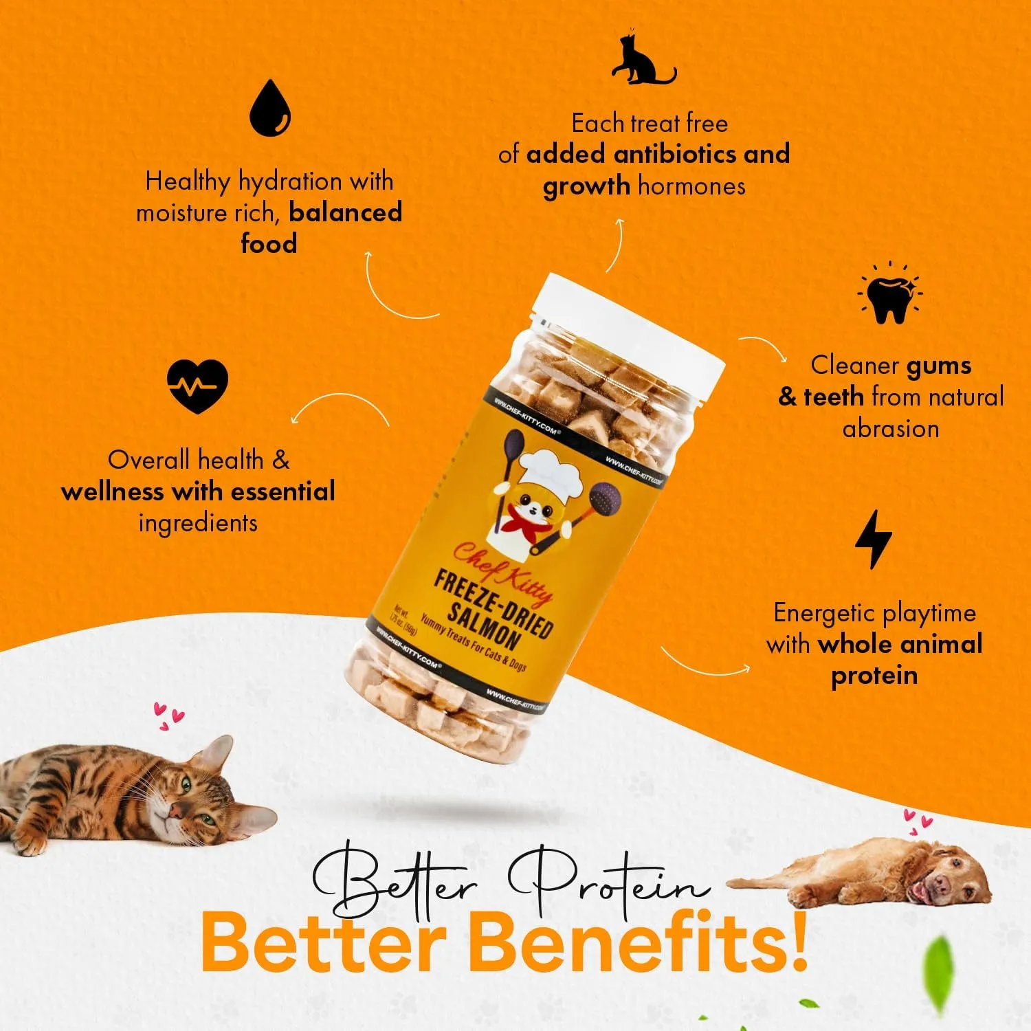 Freeze-Dried Salmon Treats for Cats & Dogs  100% Wild Caught, Single Ingredient, High-Protein, Healthy Snack  No Additives or Preservatives  1.4oz - Inspected & Tested in USA