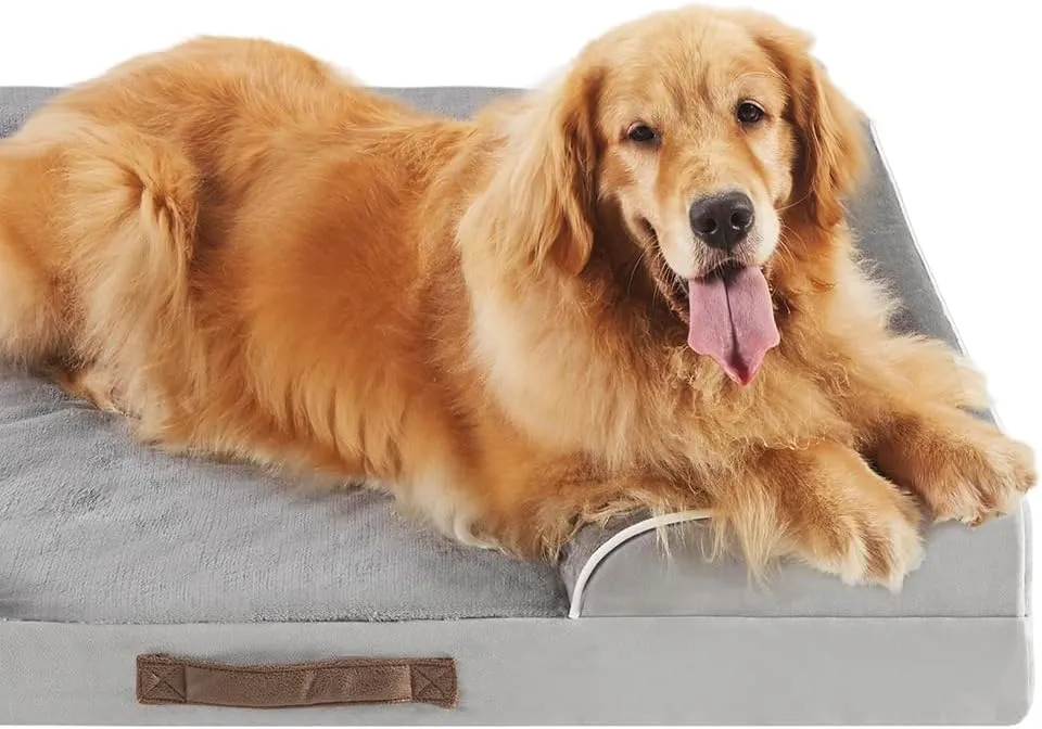 Friends Forever Orthopedic Dog Bed for Extra Large Dogs, Waterproof Memory Foam Dog Sofa Bed XL with Removable Washable Cover, Ally Grey, 42x32x7