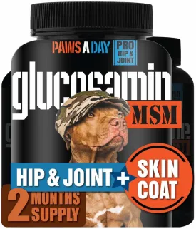 Glucosamine for Dogs Hip & Joint Supplement  Two-in-One Combo Dog Joint Care and Improved Skin & Coat with Chondroitin, MSM, Omega 3, Collagen & Biotin, 60 Chewable Tablets