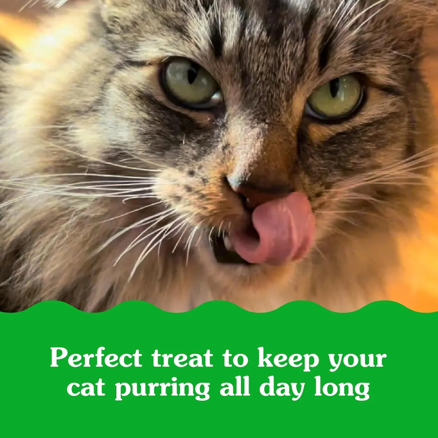 Greenies Feline Smartbites Skin & Fur Health Crunchy and Soft Natural Cat Treats, Salmon Flavor, 4.6 oz. Pouch