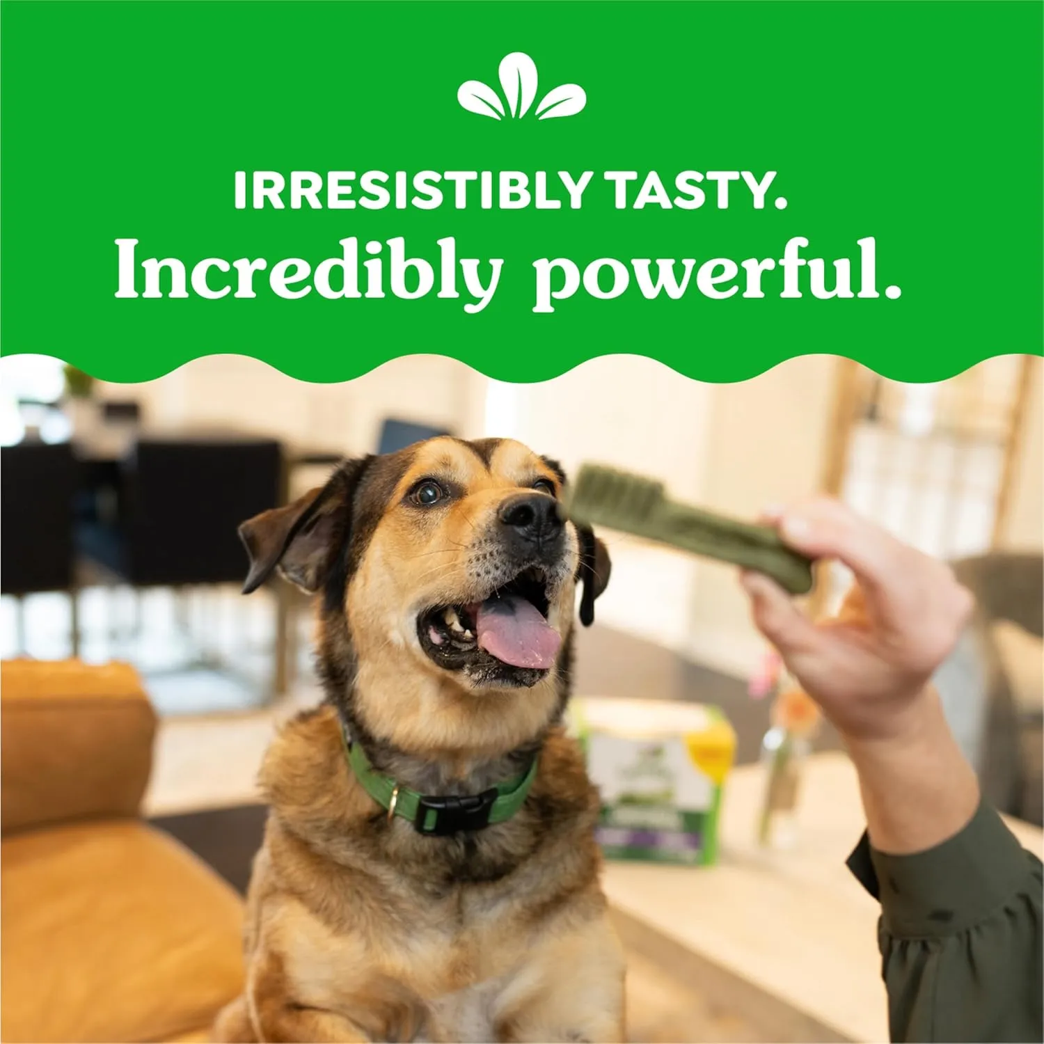Greenies Weight Management Large Natural Dog Dental Care Chews Weight Control Dog Treats, 27 oz. Pack (17 Treats)