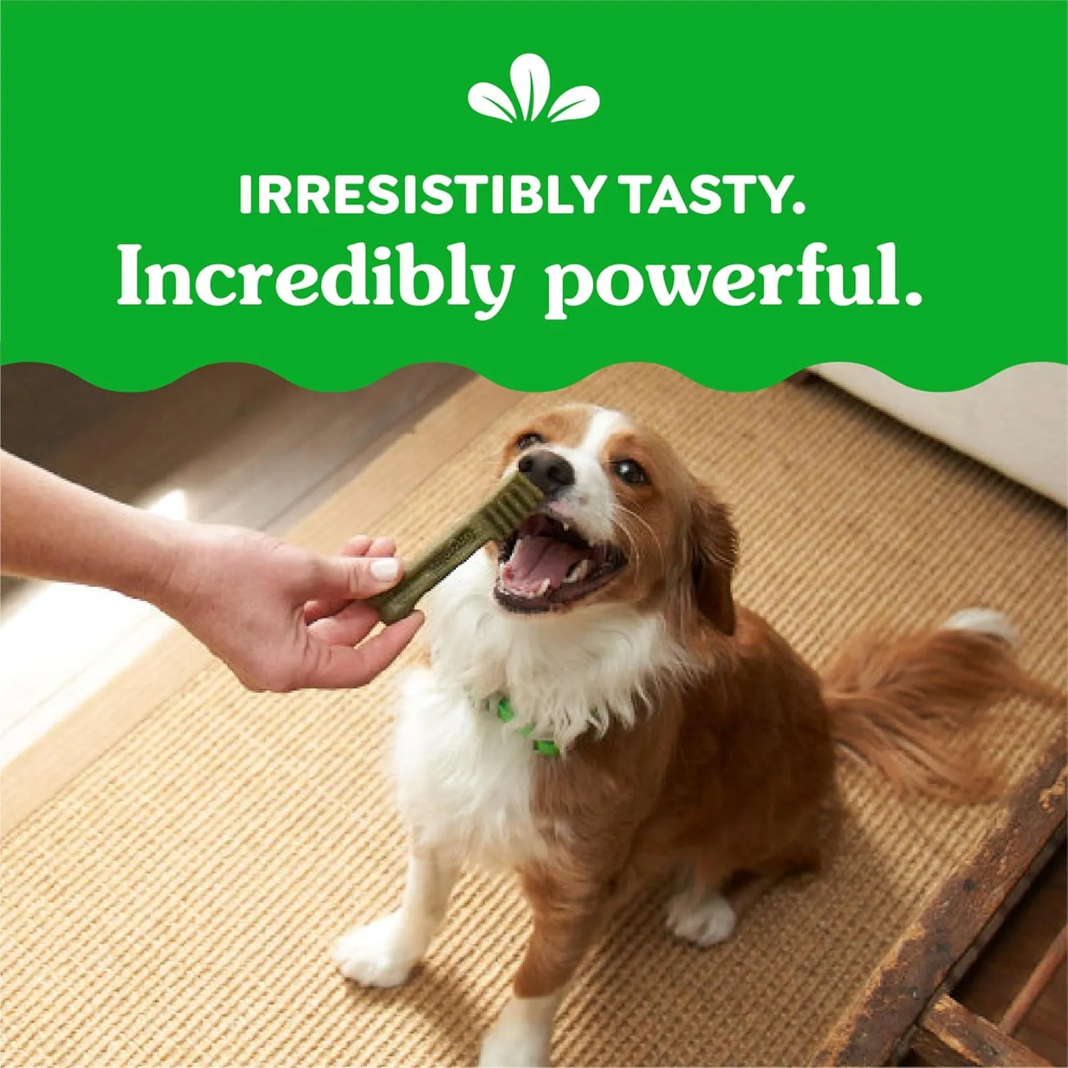 Greenies Weight Management Petite Natural Dog Dental Care Chews Weight Control Dog Treats, 27 oz. Pack (45 Treats)