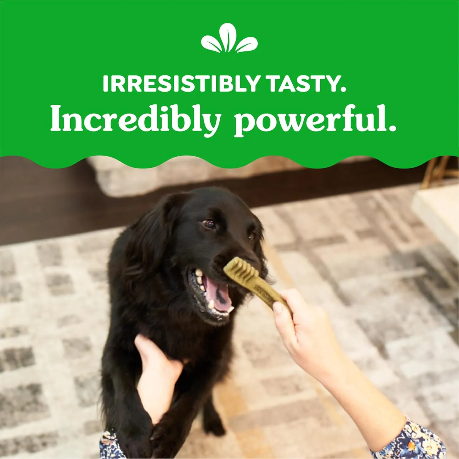 Greenies Weight Management Regular Natural Dog Dental Care Chews Weight Control Dog Treats, 27 oz. Pack (27 Treats)