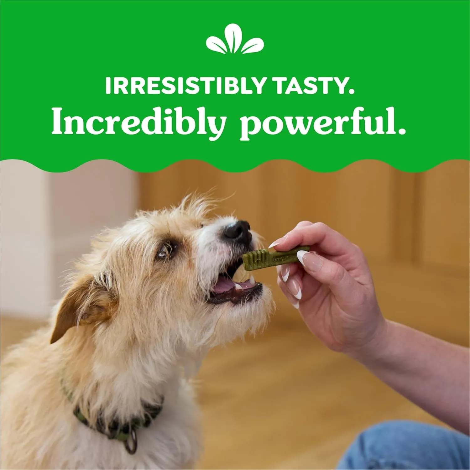 Greenies Weight Management Teenie Natural Dog Dental Care Chews Weight Control Dog Treats, 27 oz. Pack (96 Treats)