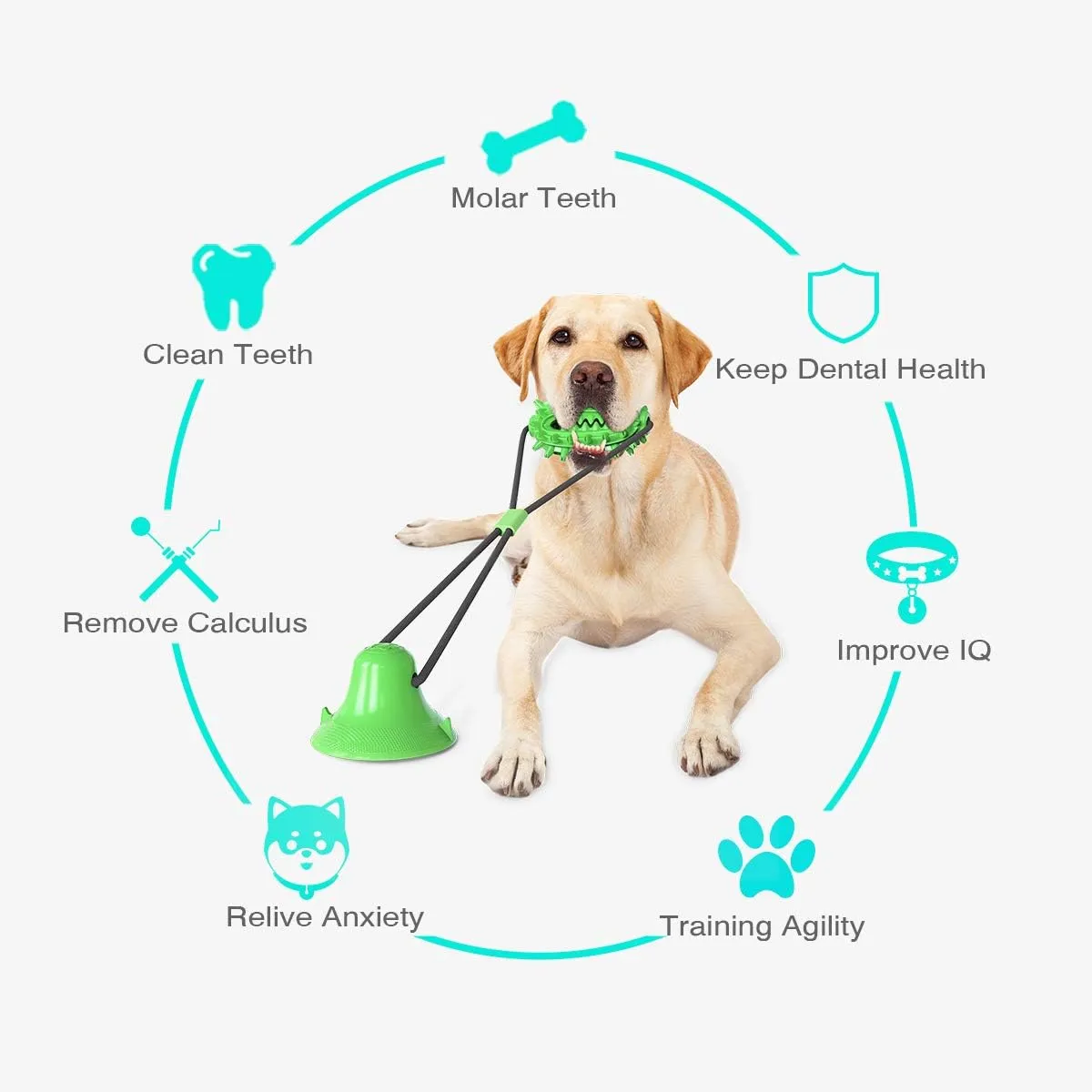 Guardians Dog Chew Toy with Suction Cup for Aggressive Chewers, Puppy Training Treats Food Dispensing Toothbrush Pet Teeth Cleaning Rope Toys for Small Medium Dogs (Green Cactus)