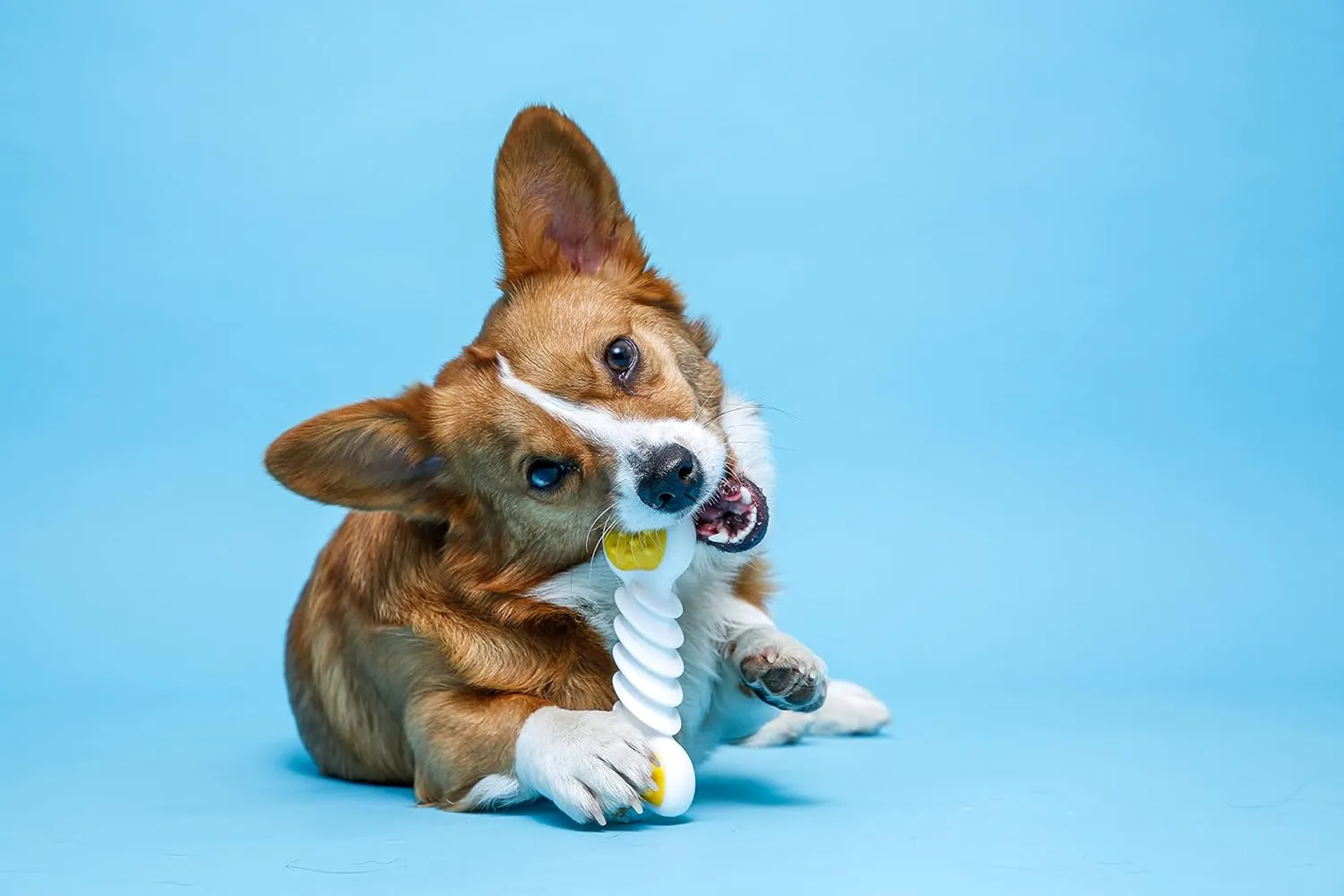 Hartz Chew n Clean Twisty Bone Dog Chew Toy, Bacon Scented Chew Toy for Moderate Chewers, Small/Medium, Color Varies