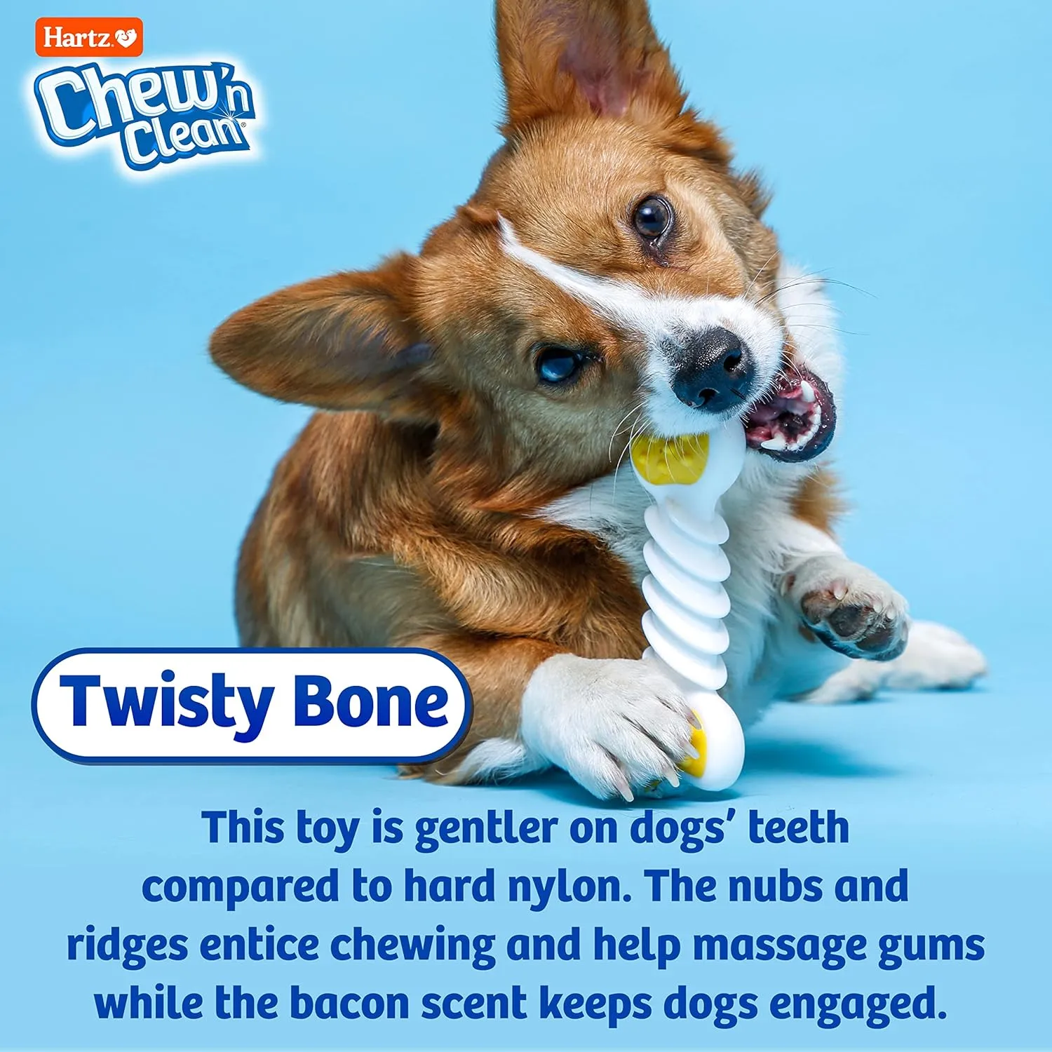 Hartz Chew n Clean Twisty Bone Dog Chew Toy, Bacon Scented Chew Toy for Moderate Chewers, Small/Medium, Color Varies