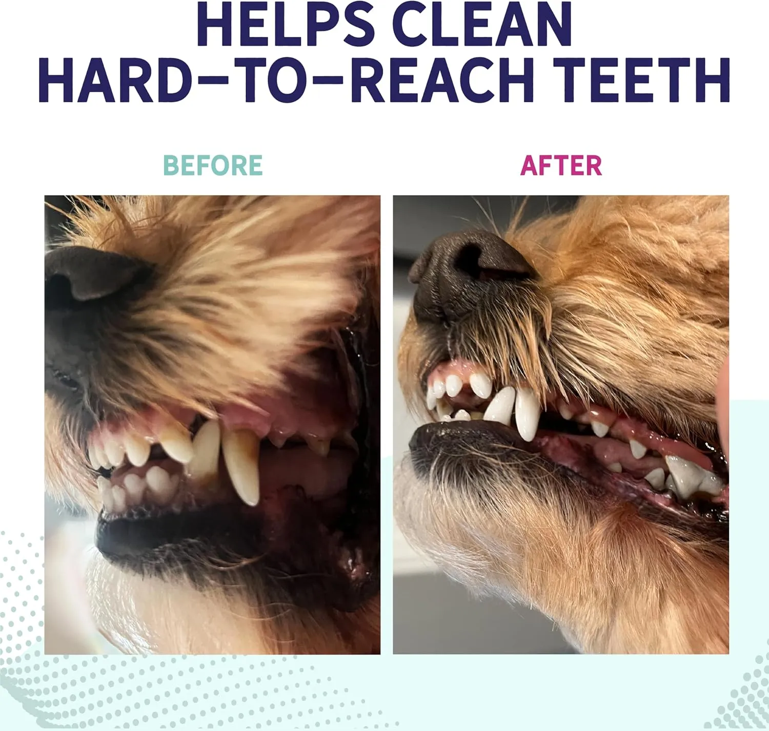 Health Extension Probiotic Dental Bones for Dogs, 14 Small Bones  Supports Dental Health, Promotes Digestive Health, Ideal for Puppy Training