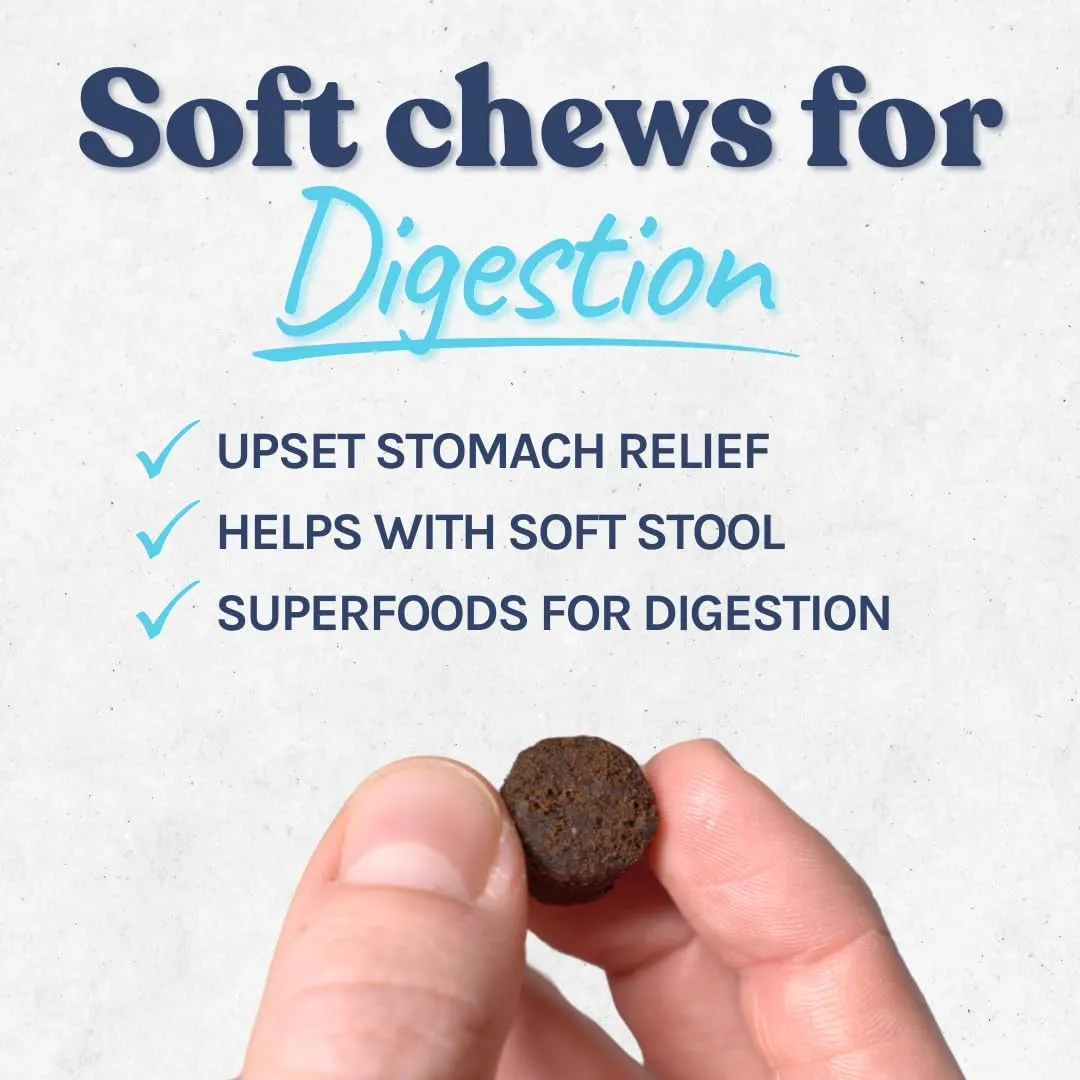 healthybud Dog Probiotic Chews  Digestive & Gut Health Support  Prebiotic, Fiber, Pumpkin & Sweet Potato  Stool Hardener & Sensitive Stomach Relief  Made in Canada (14.1oz)
