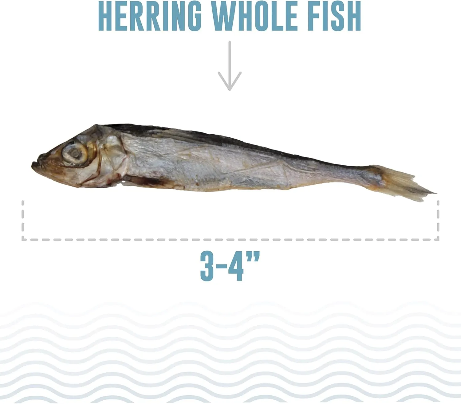 Icelandic  Whole Fish Herring - 1.5oz Bag - Cat Treats, Pure Wild-Caught & Air-Dried, Single Ingredient Snack, Pet Chew, Just The Fish Nothing Else