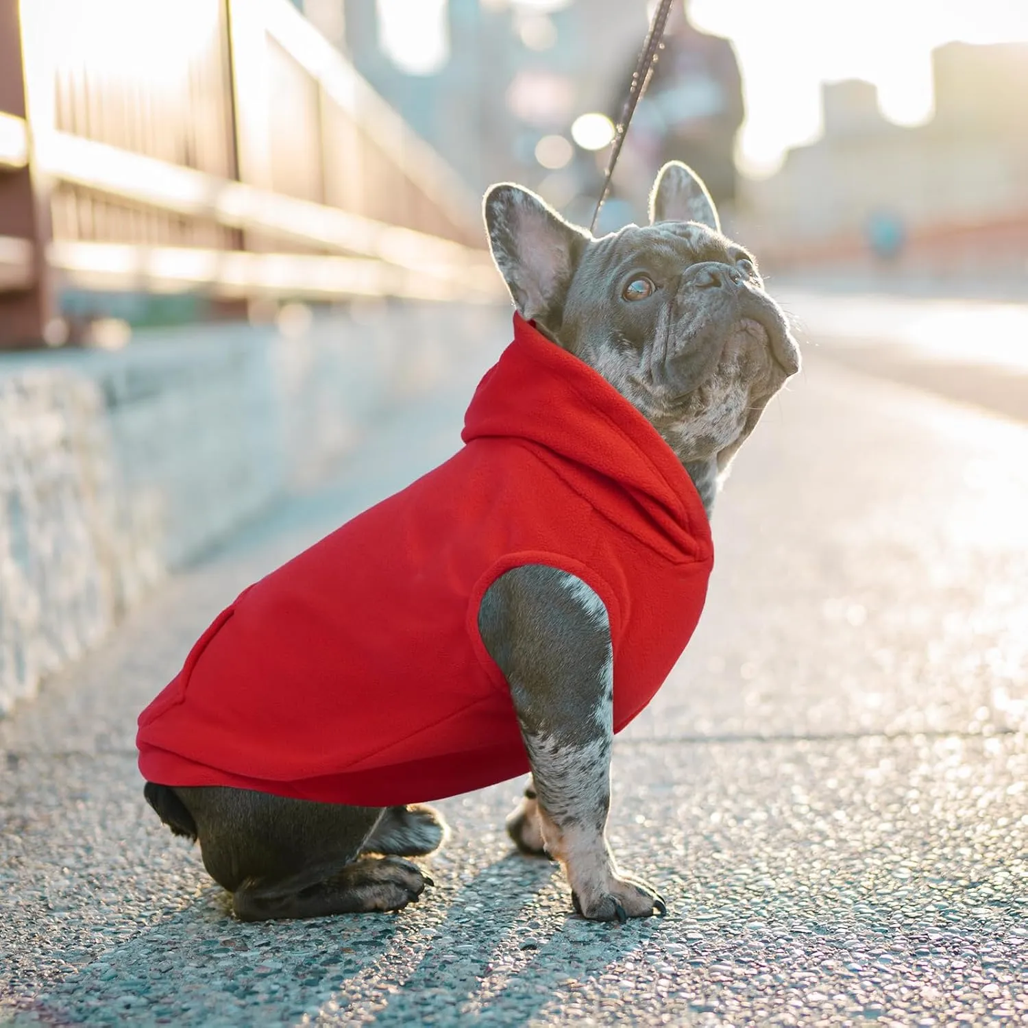 IECOii XXL Dog Hoodie for Extra Large Dogs,Fleece Dog Sweatshirt for Large Breed Male Female Dog,Dog Pouch Hoodie Sweater Pet Winter Coat for Large Size Dogs Dog Christmas Sweater for Pitbull,Red,2XL