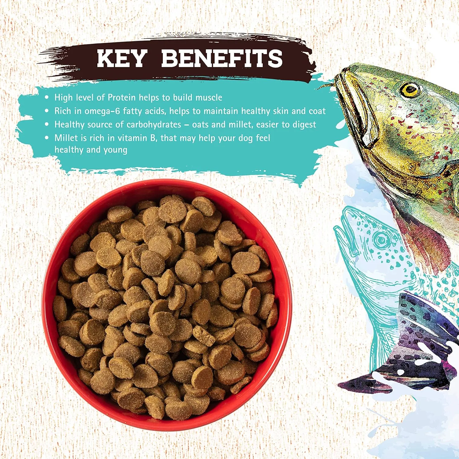 Inception Dry Dog Food Fish Recipe  Complete and Balanced Dog Food  Legume Free Meat First Dry Dog Food  4 lb. Bag (13278)