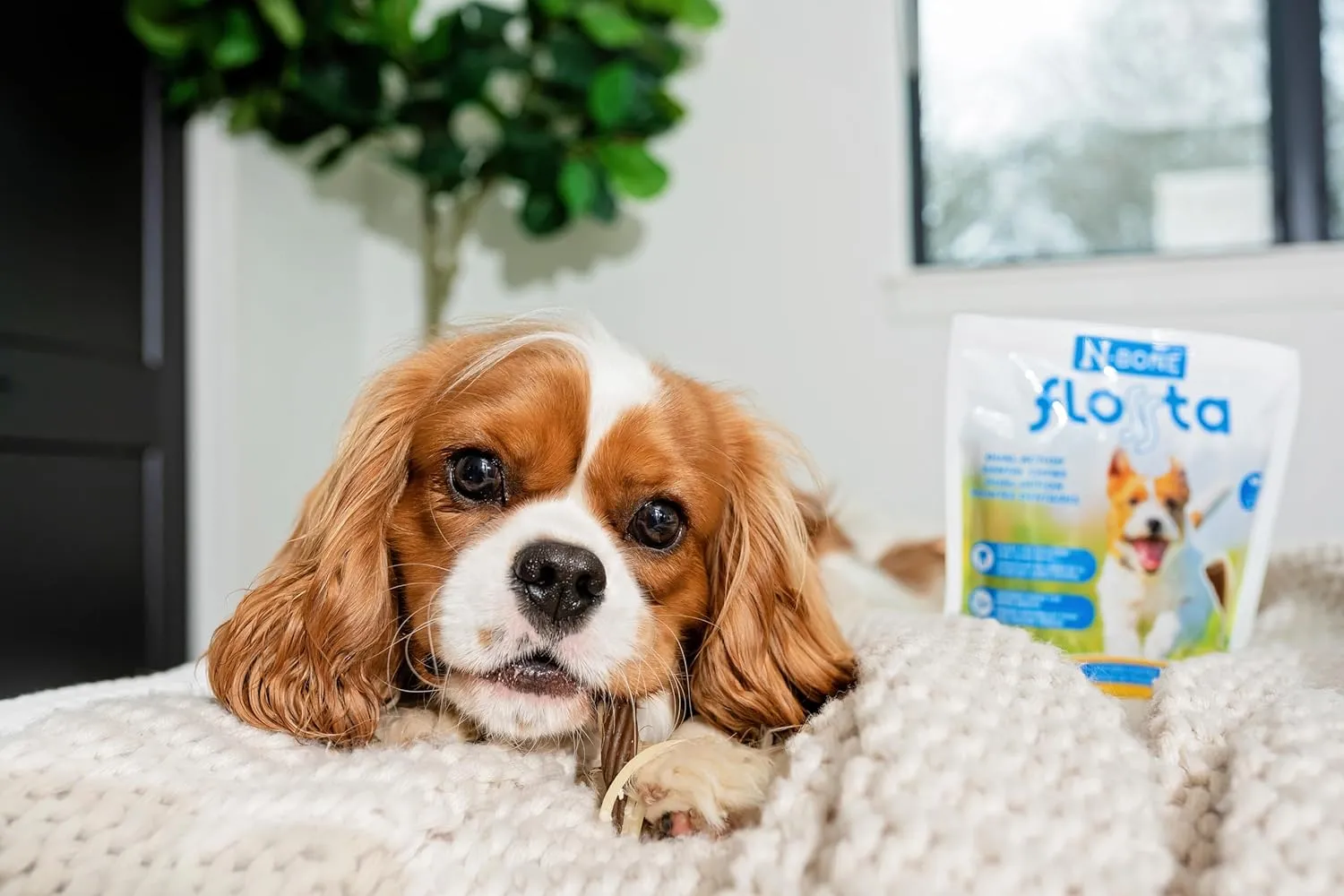 N-Bone FLOSSta Dental Chews for Dogs  Natural Beef Liver Flavor, No Dyes, Grain-Free, Breath Freshening, Plaque & Tartar Control, Digestible Teething Aid  12 oz Bag